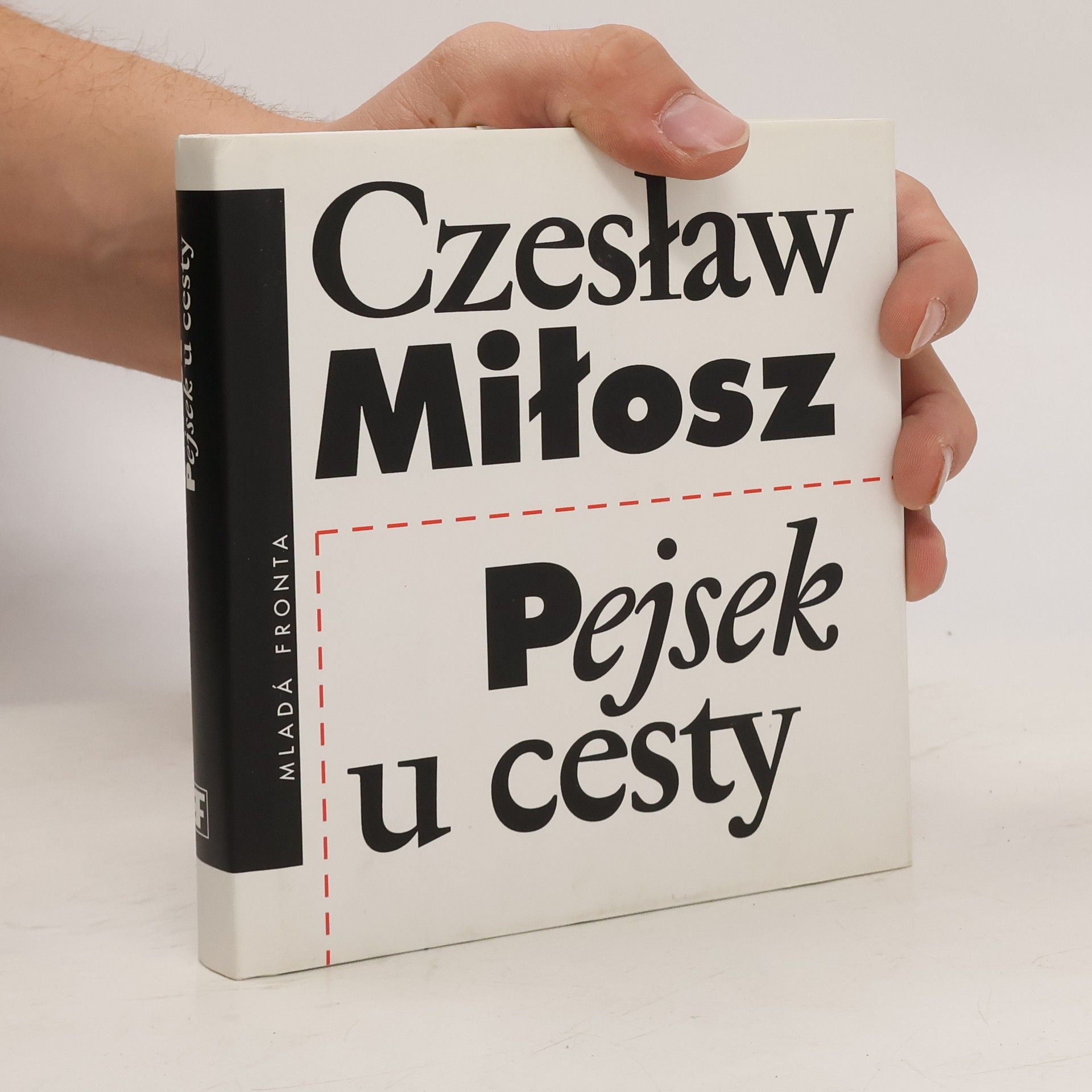 Pejsek u cesty
