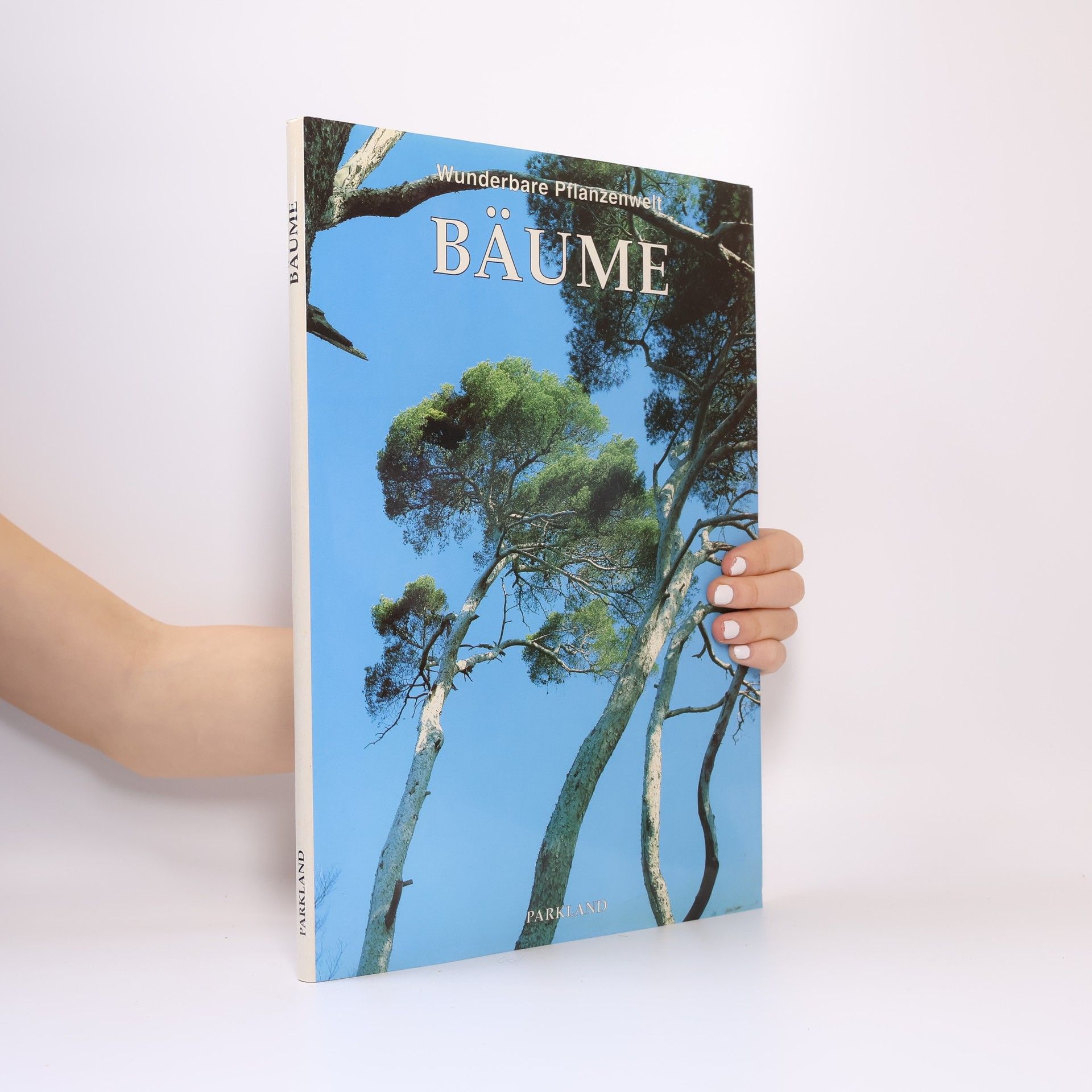 Nicky den Hartogh Bäume