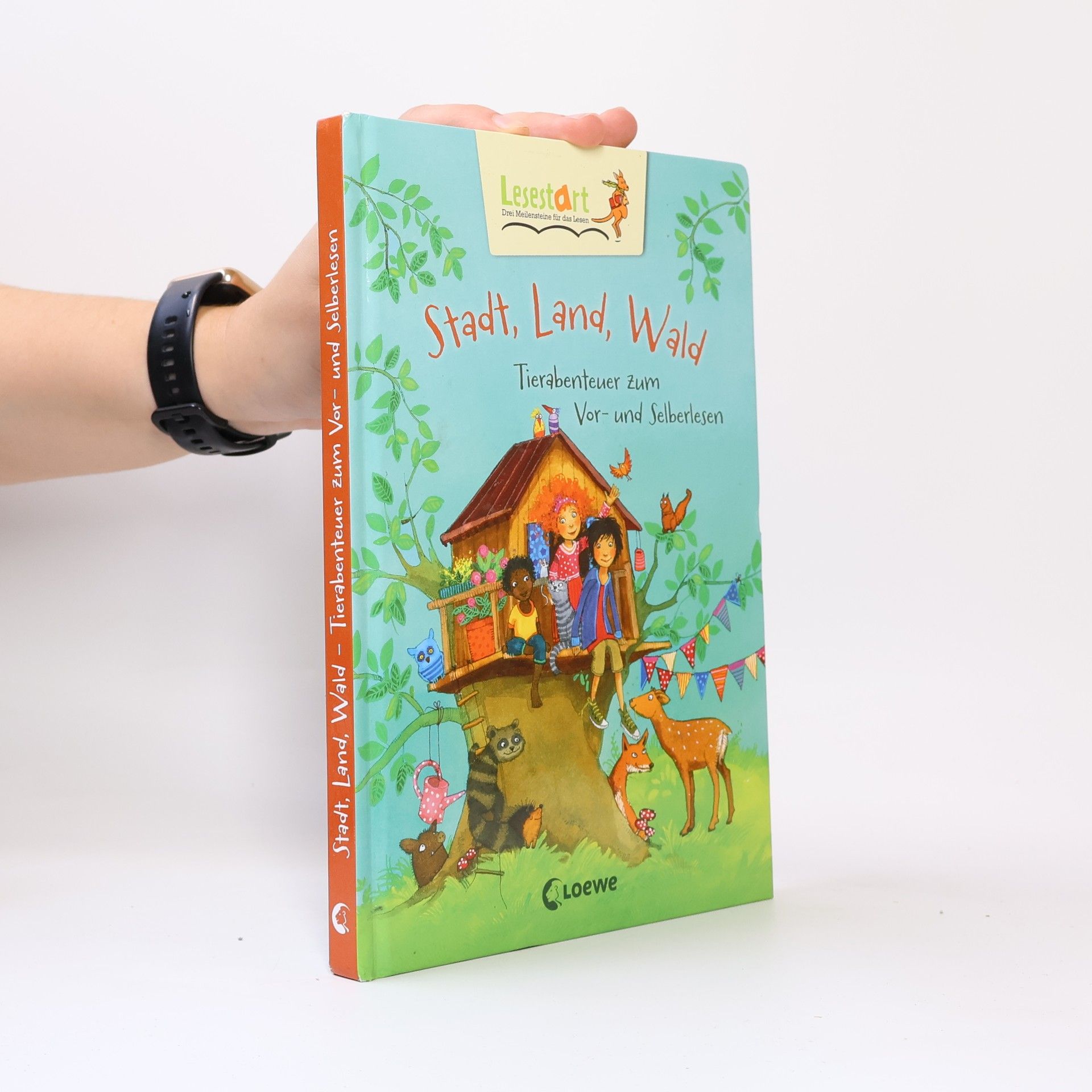 Collectif d'auteurs Stadt, Land, Wald