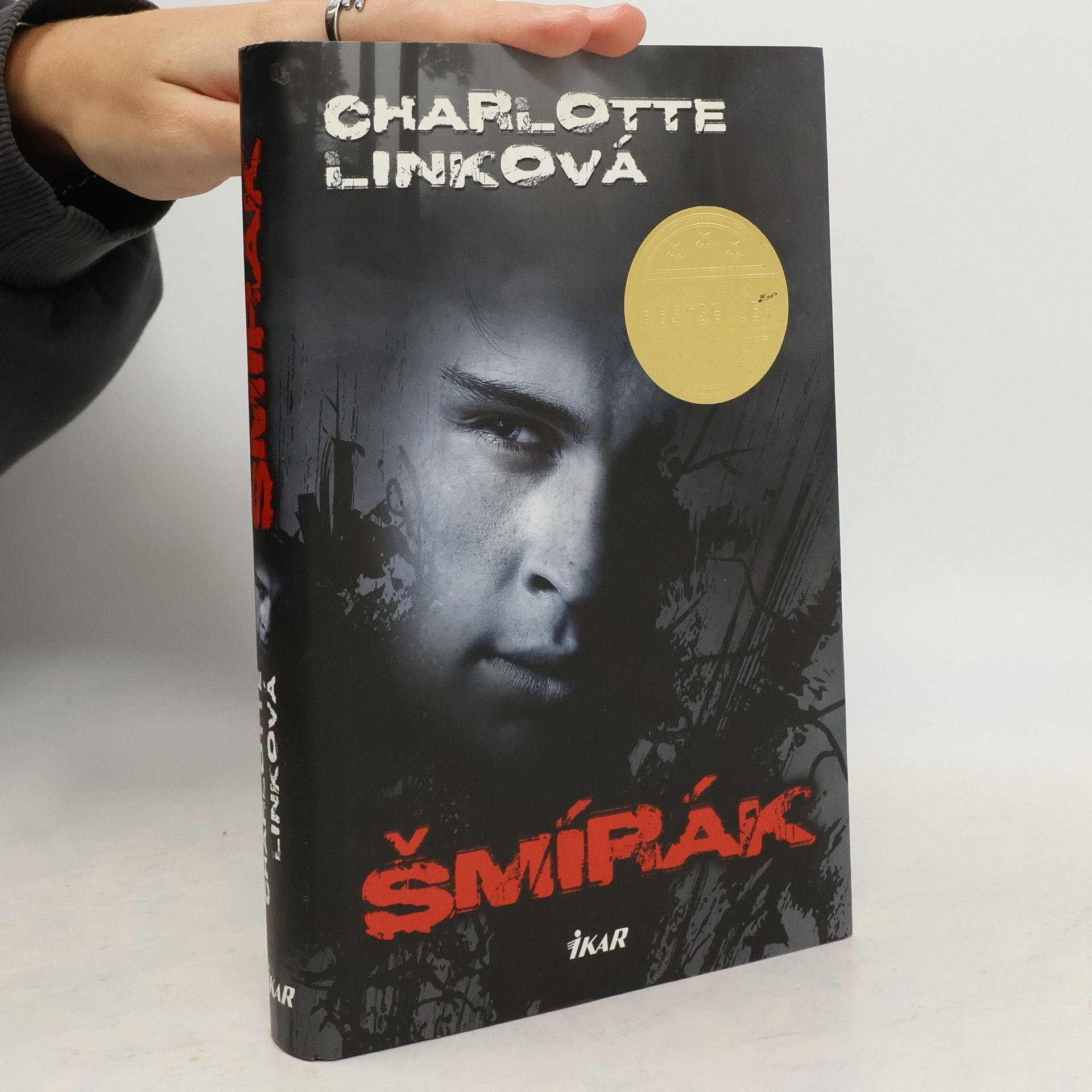 Charlotte Link Šmírák