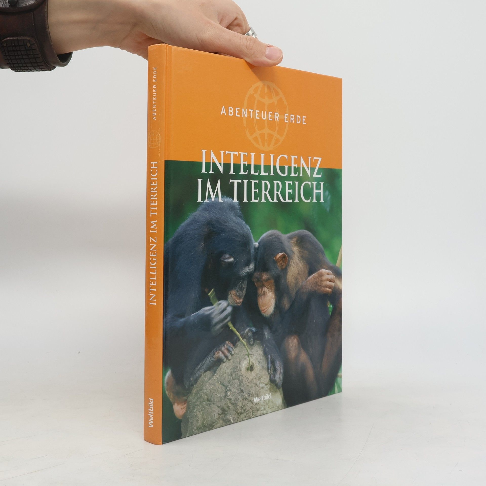 Collectif d'auteurs Intelligenz im Tierreich