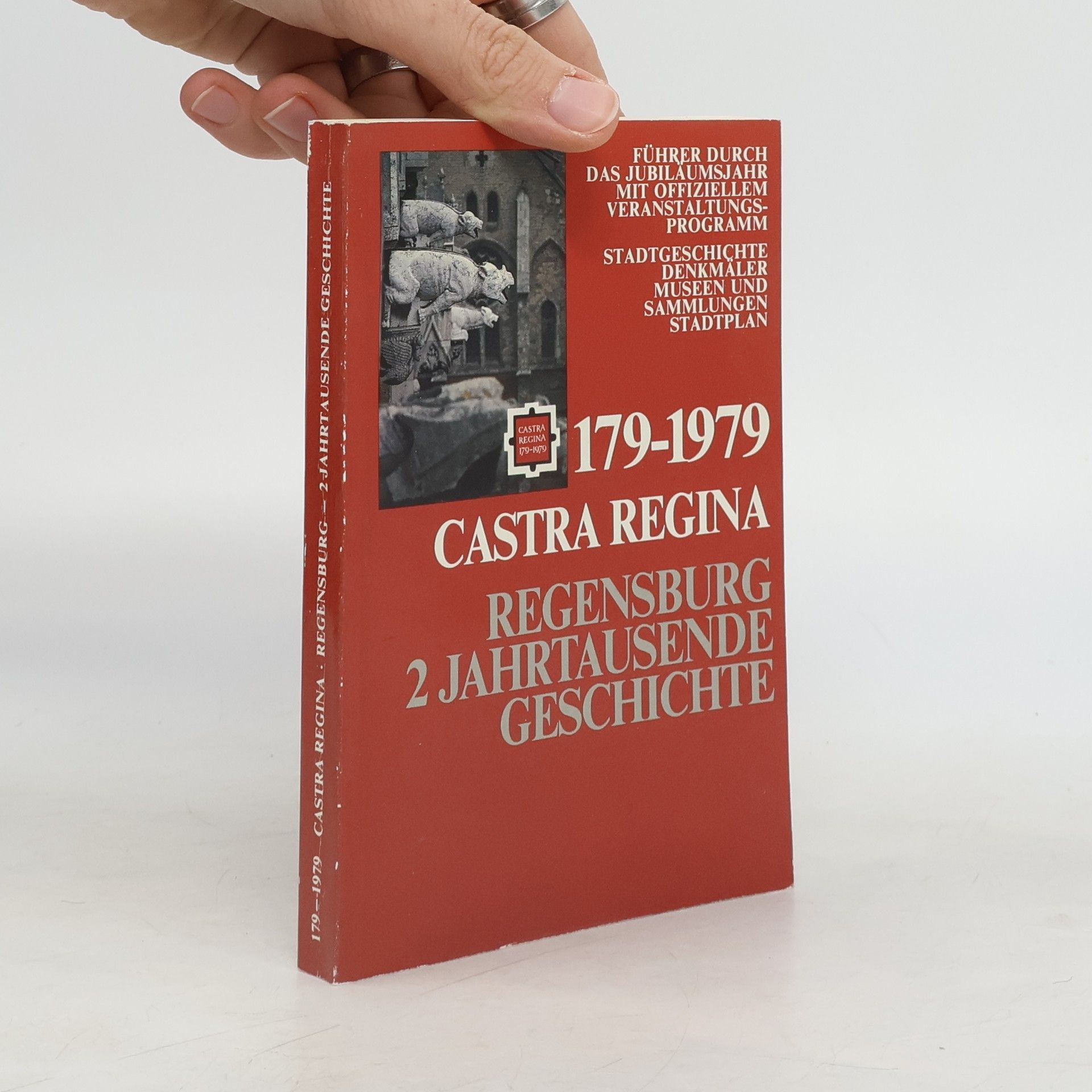 Auteurscollectief Castra Regina. Regensburg 2 Jahrtausende Geschichte