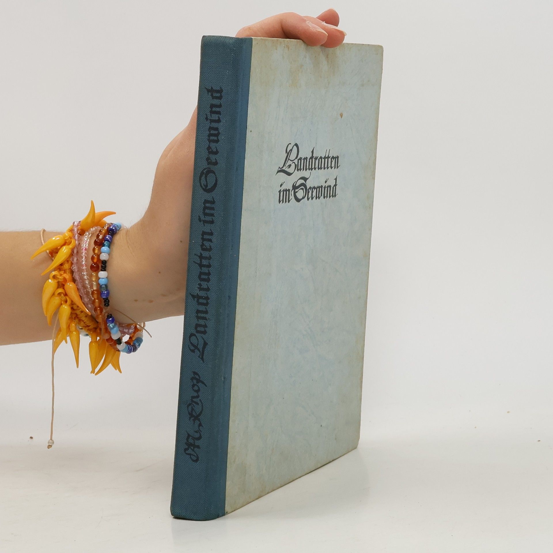 Landratten im Seewind