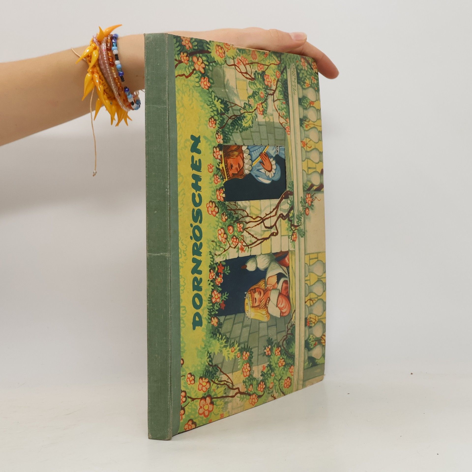 Collectif d'auteurs Dornröschen