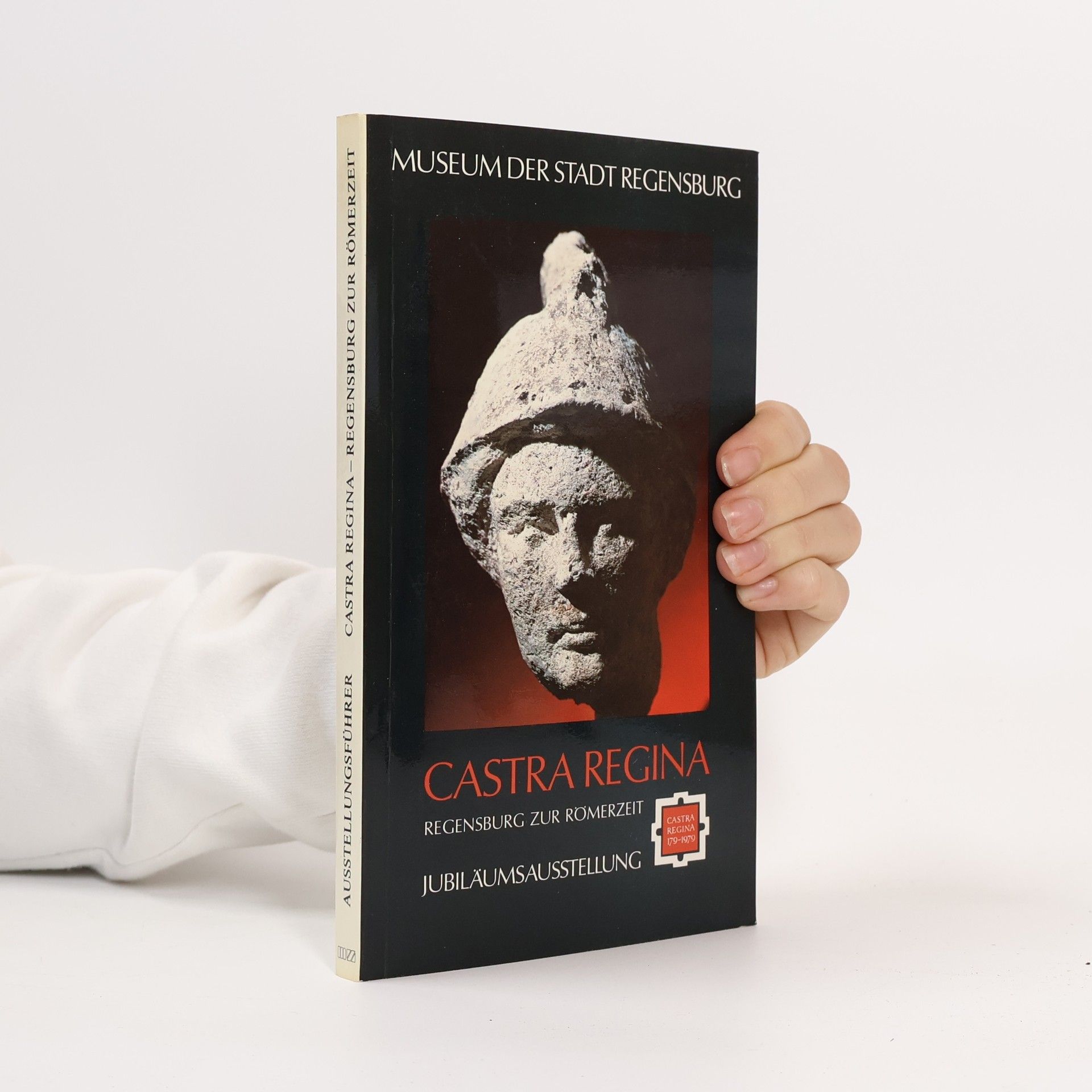 Collectif d'auteurs Castra Regina. Regensburg zur Römerzeit