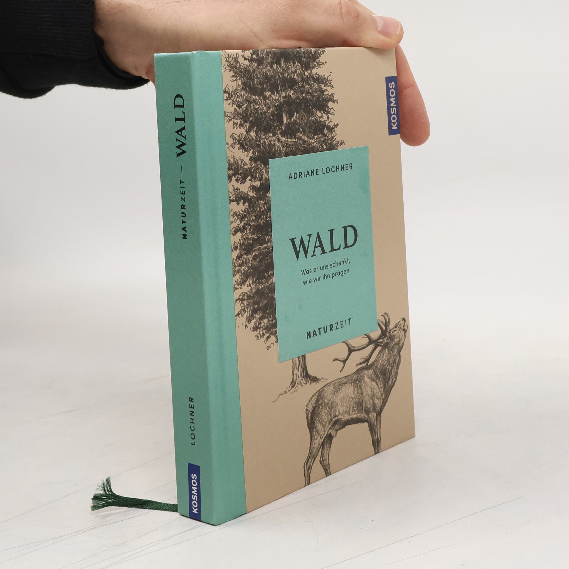 Adriane Lochner Naturzeit Wald