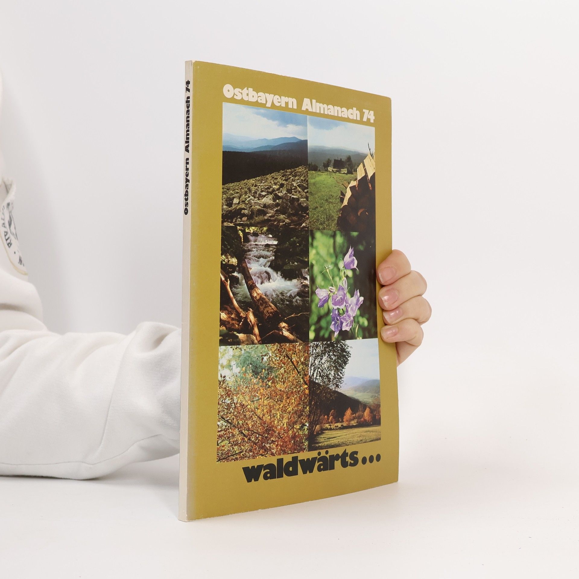 Autorenkollektiv Waldwärts...