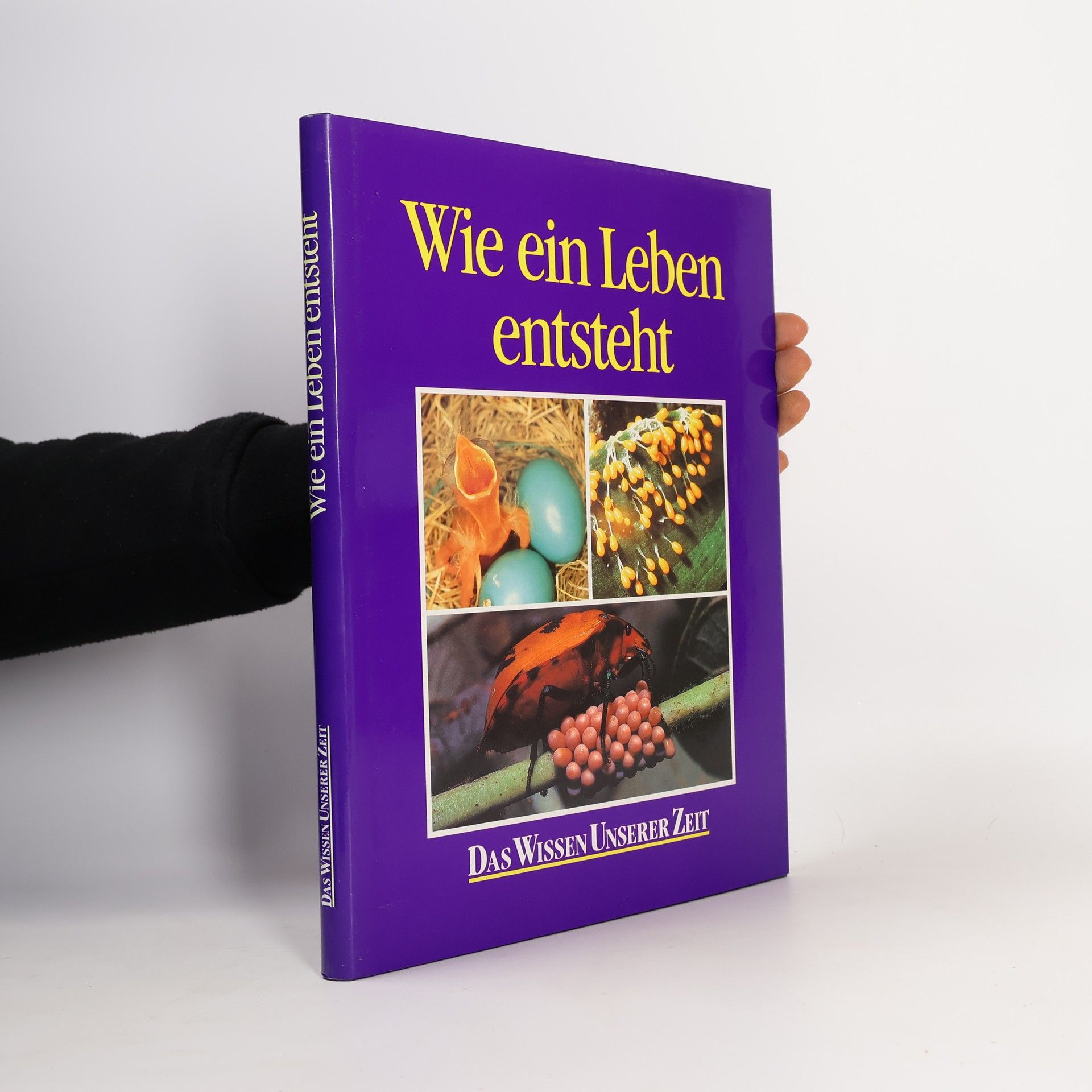 AA.VV. Wie ein Leben entsteht