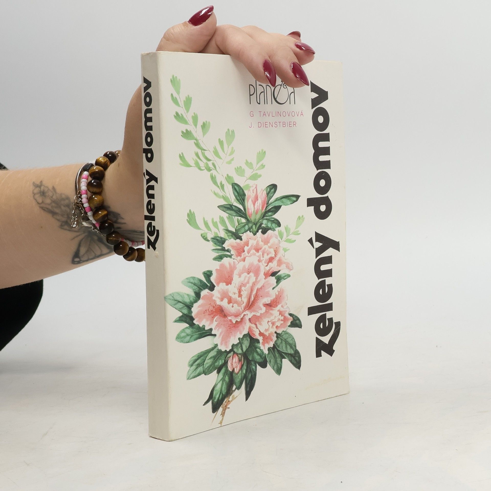 J. Dienstbier Zelený domov