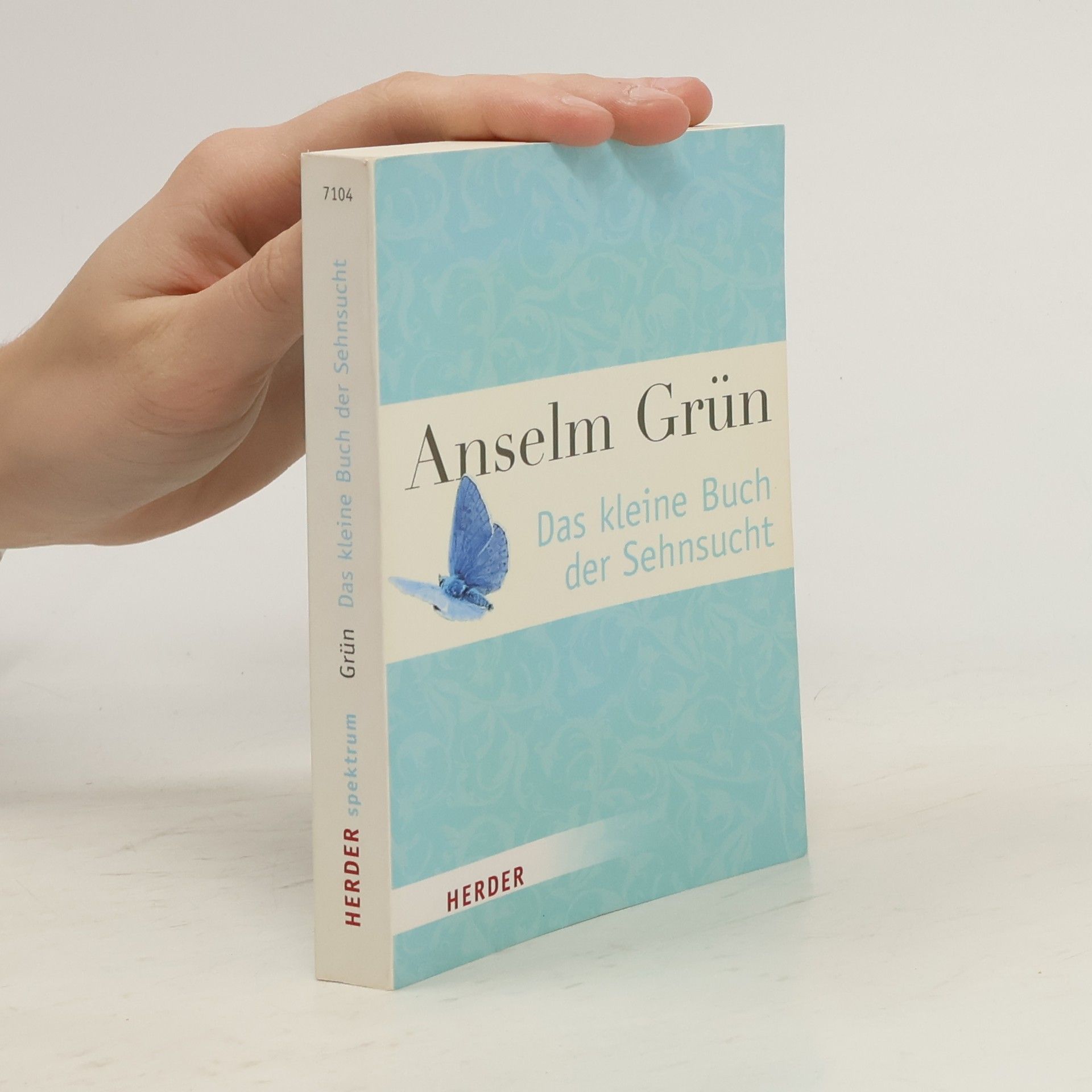 Anselm Grün Das kleine Buch der Sehnsucht