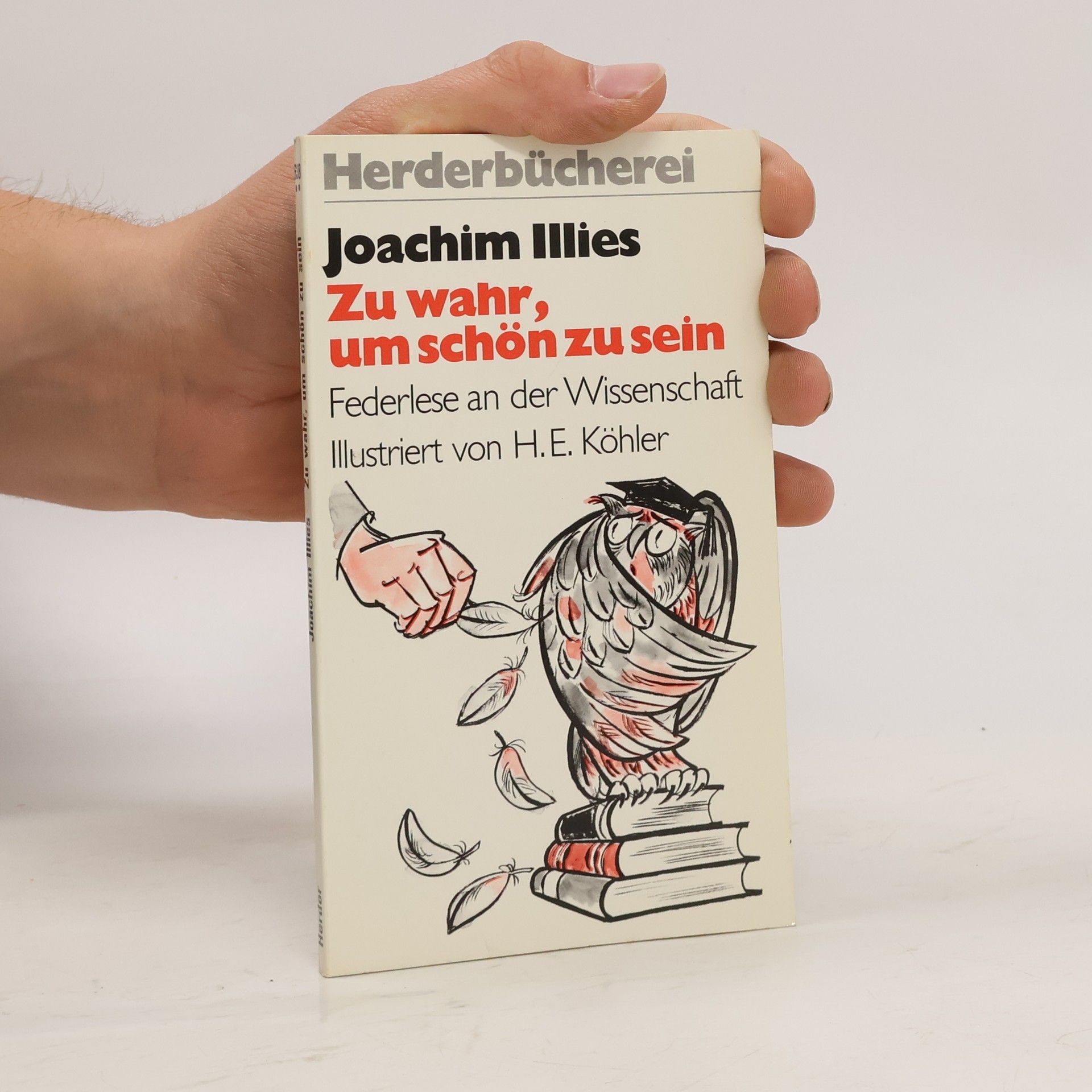 Joachim Illies Zu wahr, um schön zu sein