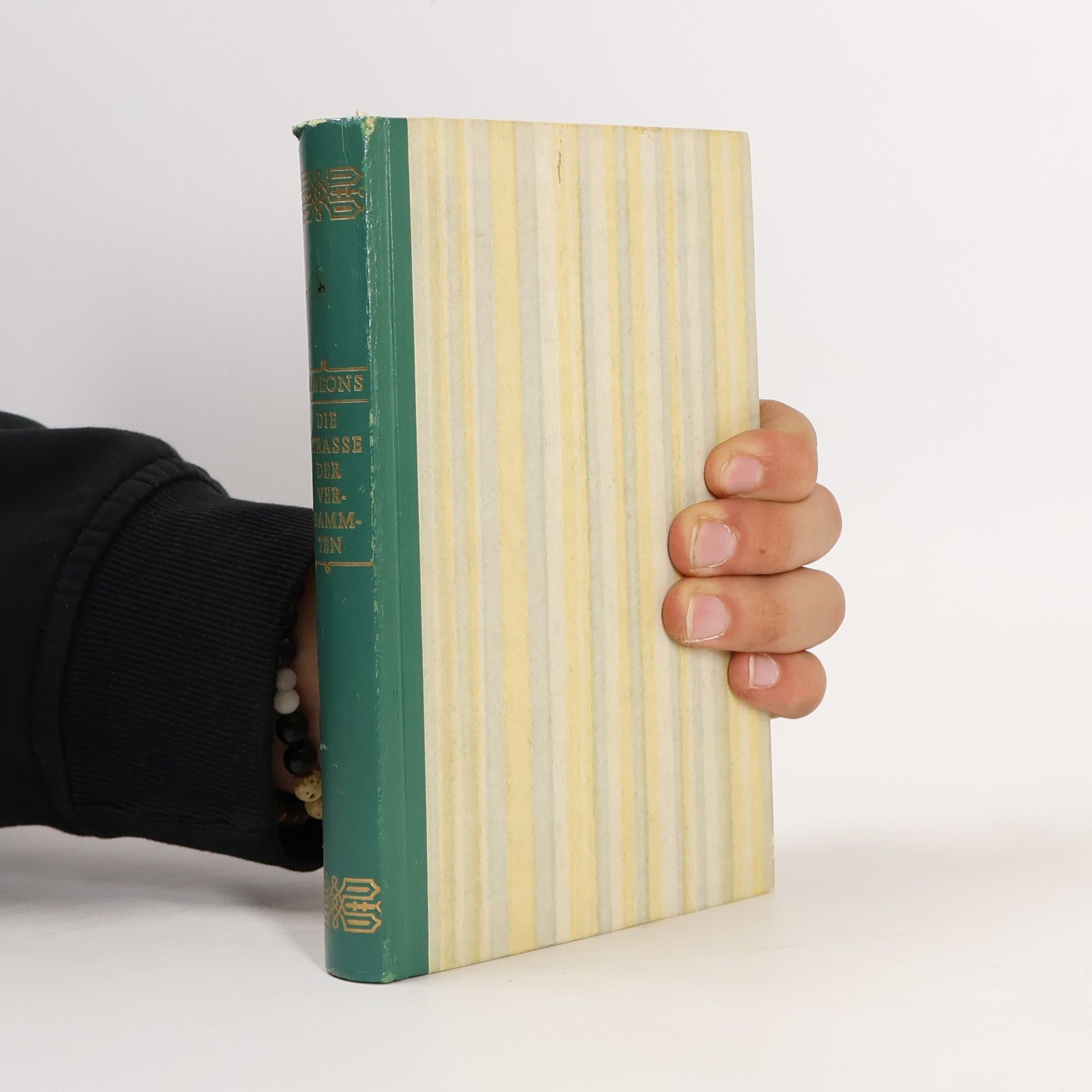 Die Strasse de Verdammten