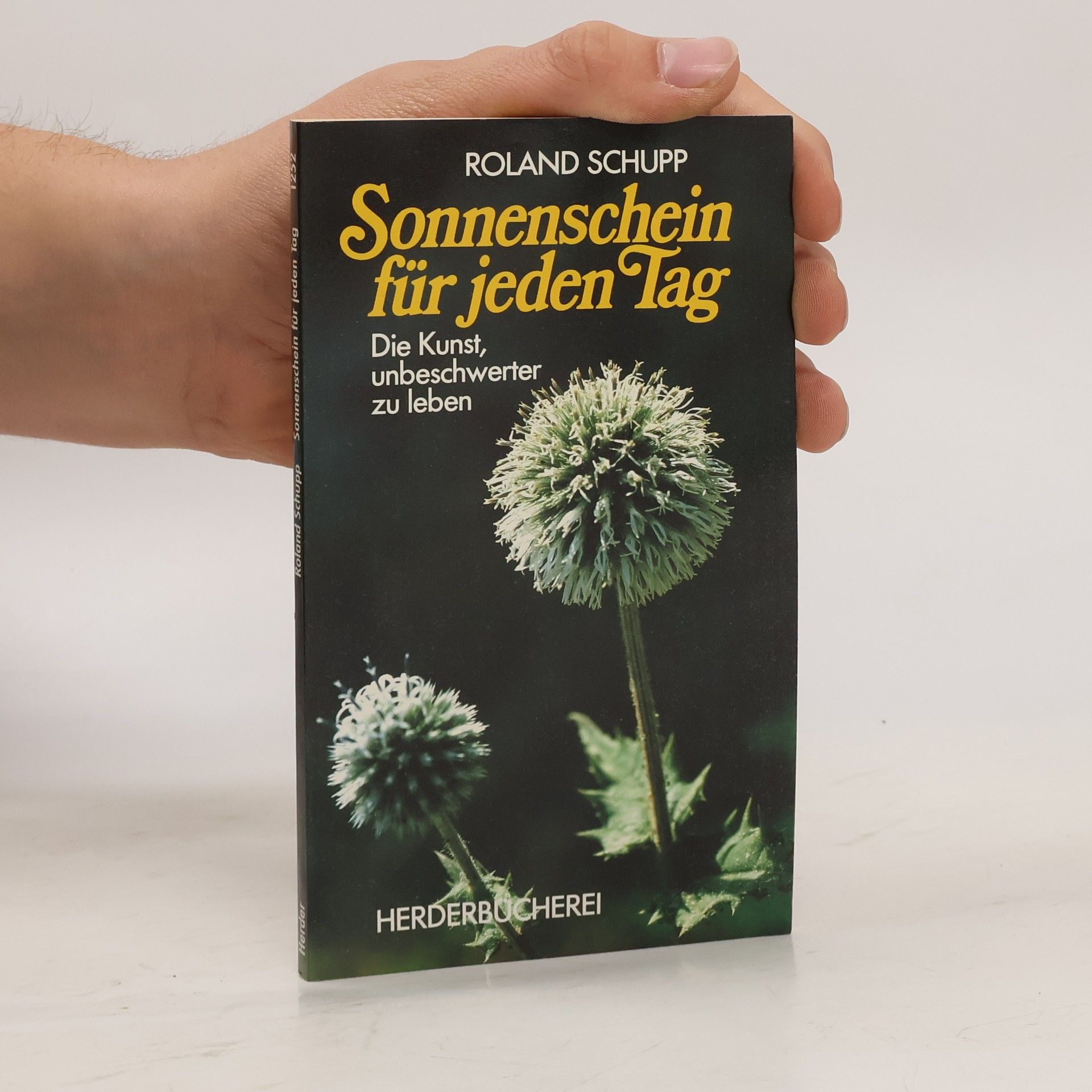 Roland Schupp Sonnenschein für jeden Tag