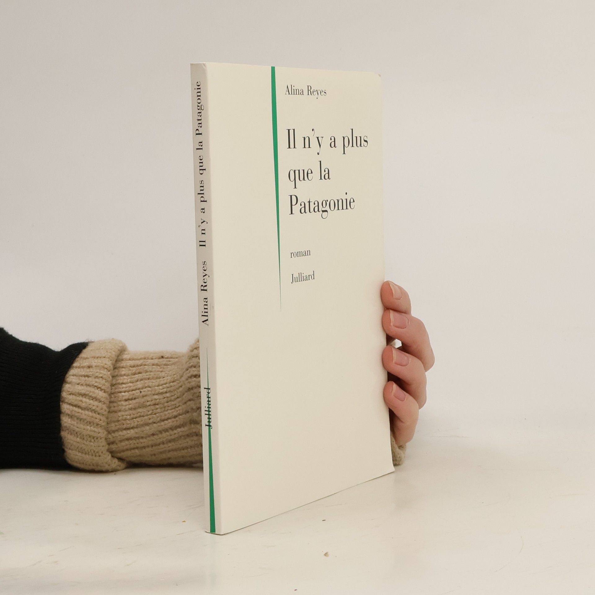 Alina Reyes Il n'y a plus que la Patagonie