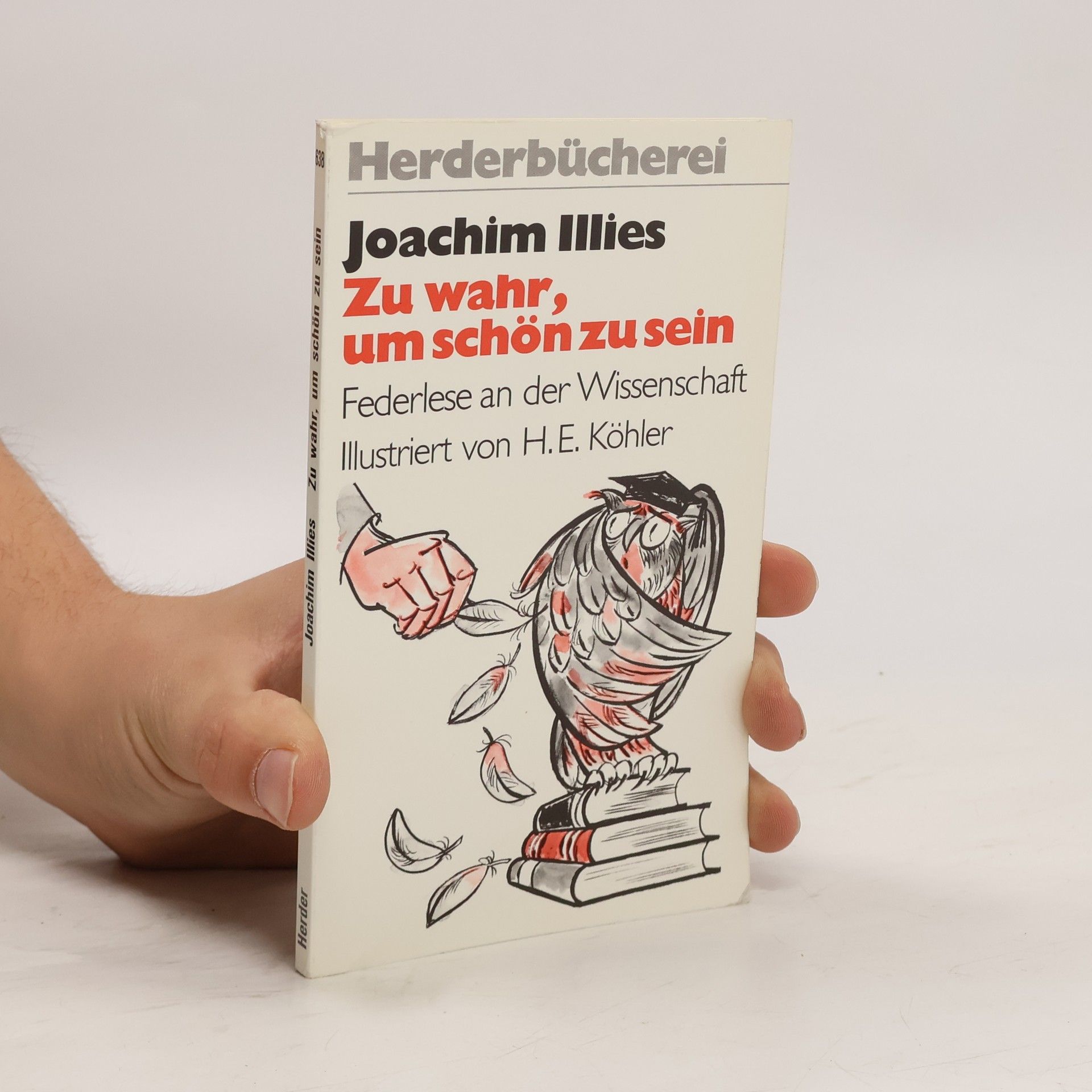 Joachim Illies Zu wahr, um schön zu sein