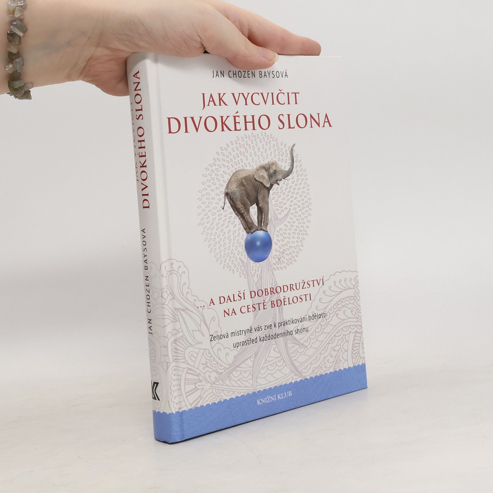 Jan Chozen Bays Jak vycvičit divokého slona...a další dobrodružství na cestě bdělosti