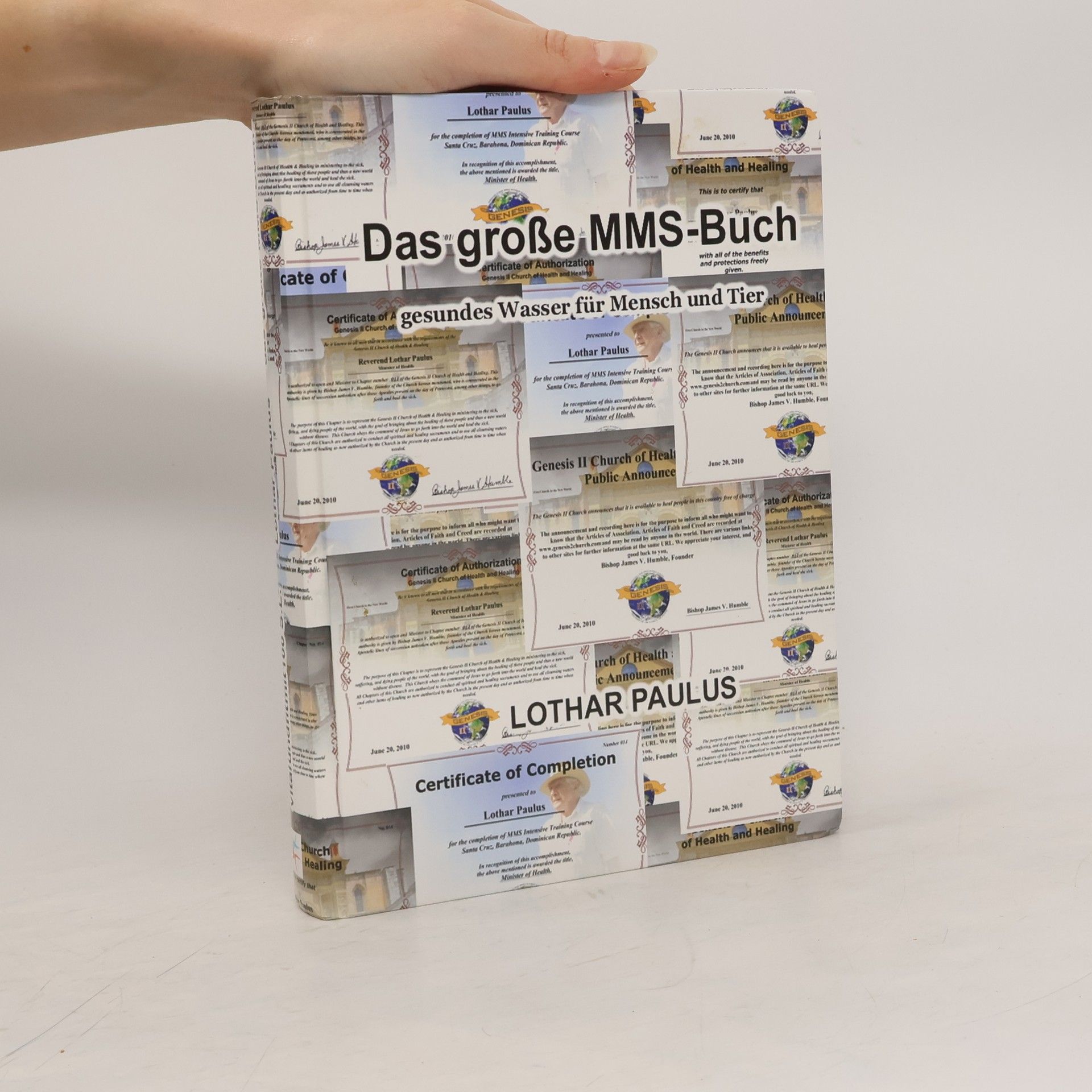 Lothar Paulus Das große MMS Buch : MMS bei Mensch und Tier