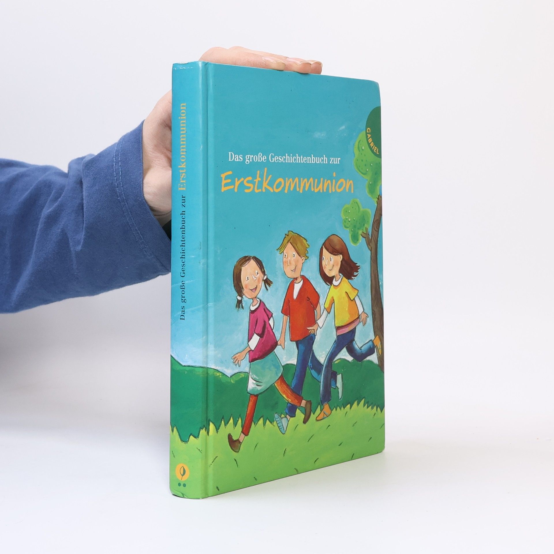 Isabelle Dinter Das große Geschichtenbuch zur Erstkommunion