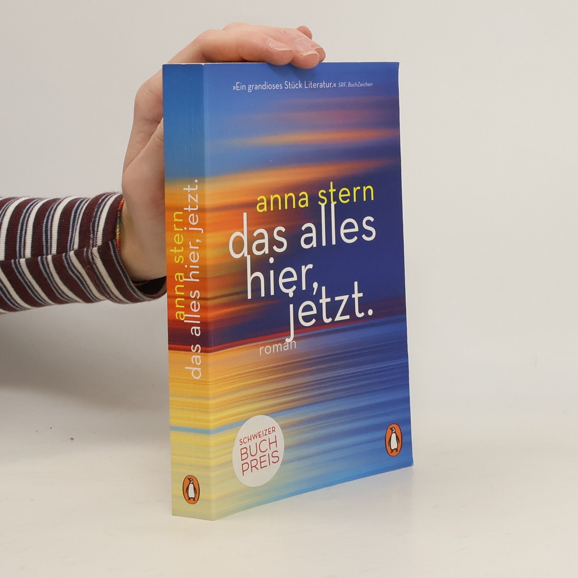 Anna Stern Das alles hier, jetzt