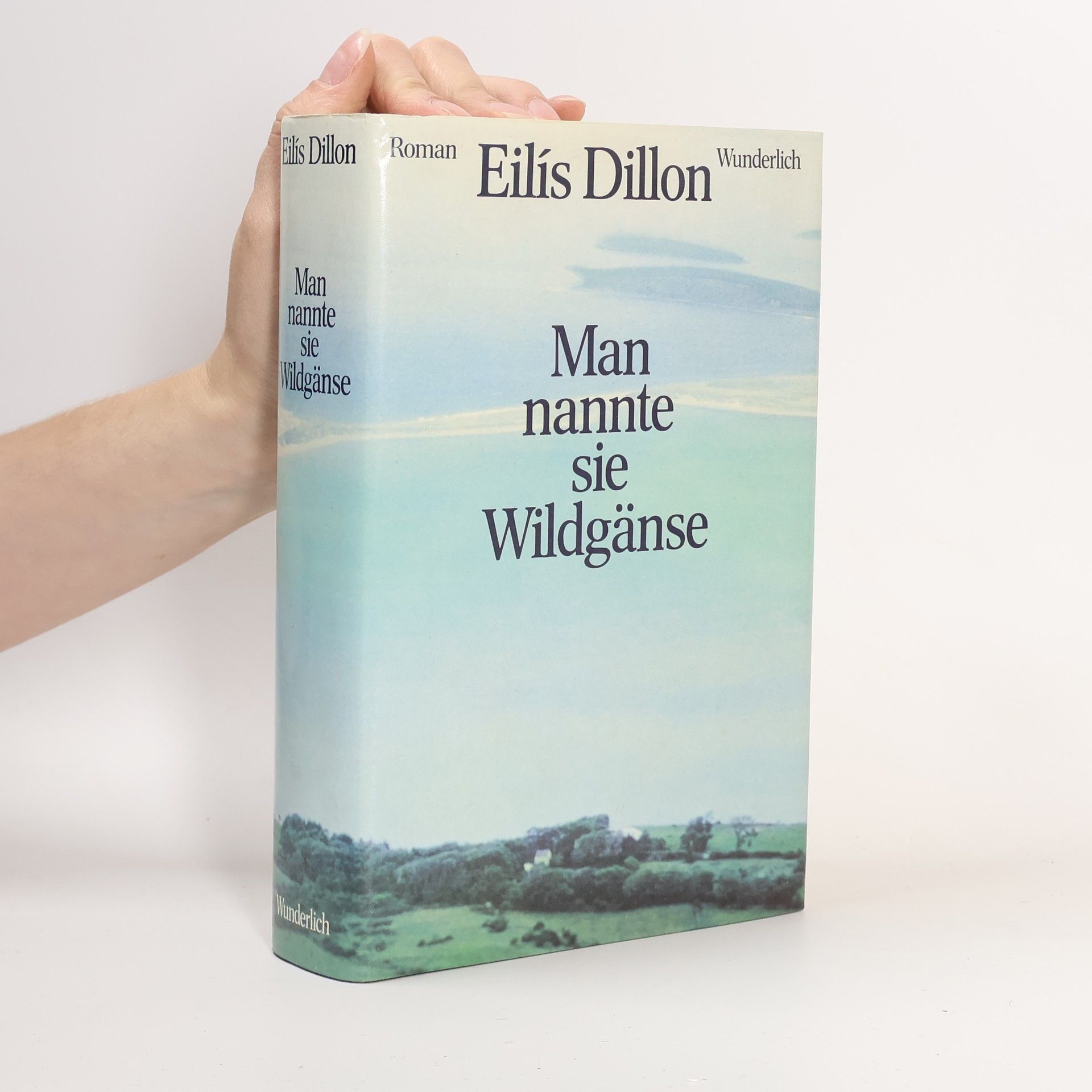 Eilís Dillon Man nannte sie Wildgänse. Roman