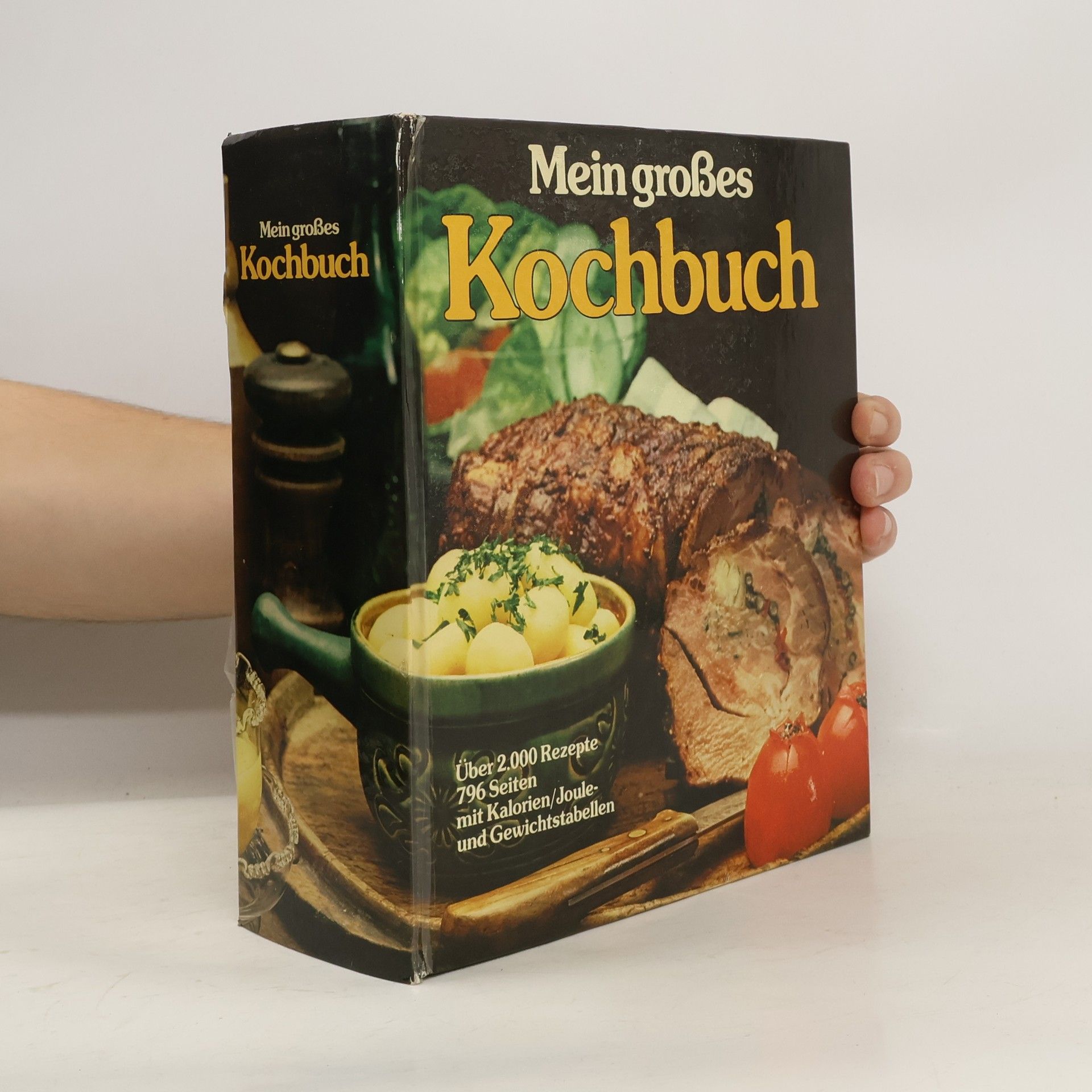 Various authors Mein großes Kochbuch