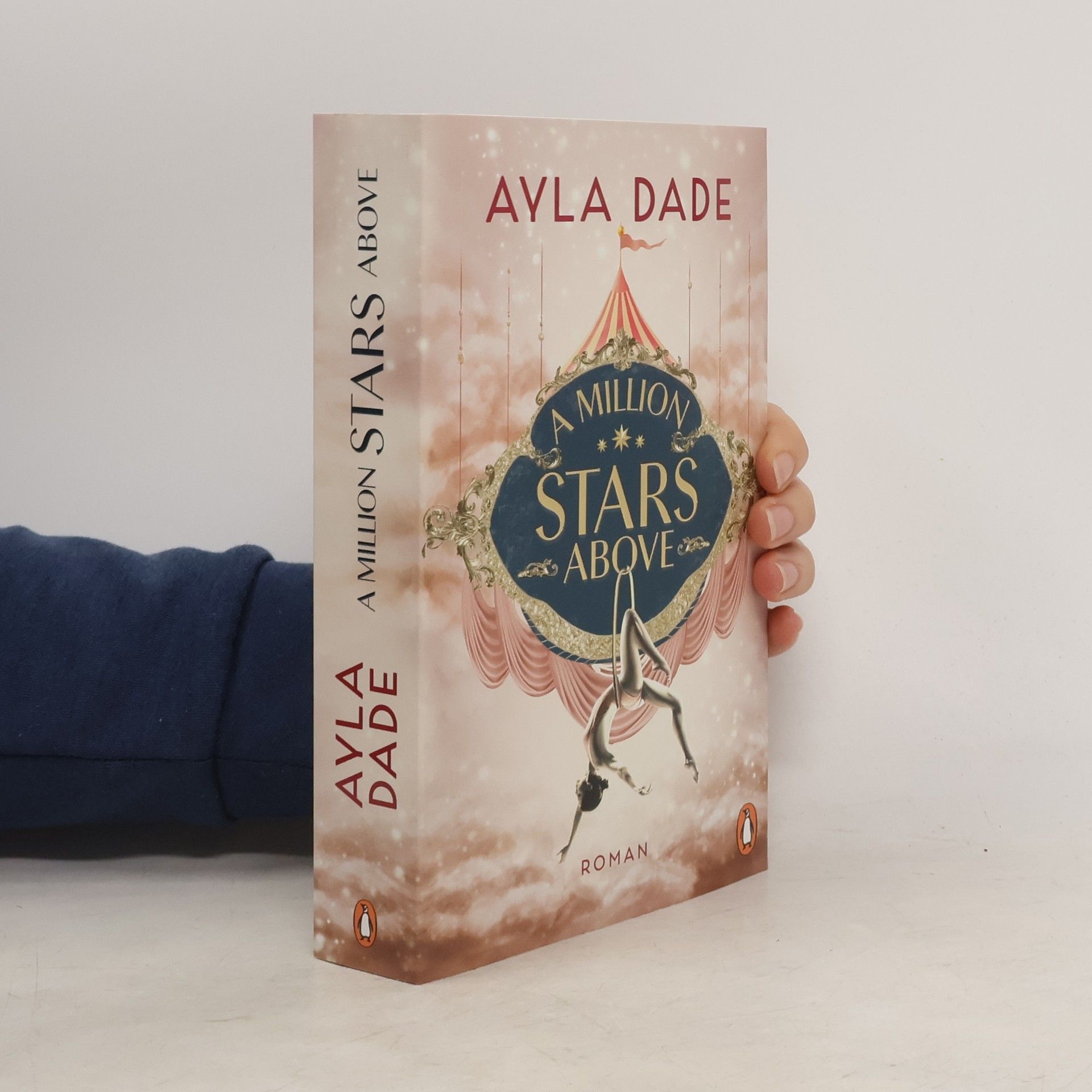 Ayla Dade A Million Stars Above / Sky Circus Bd.1