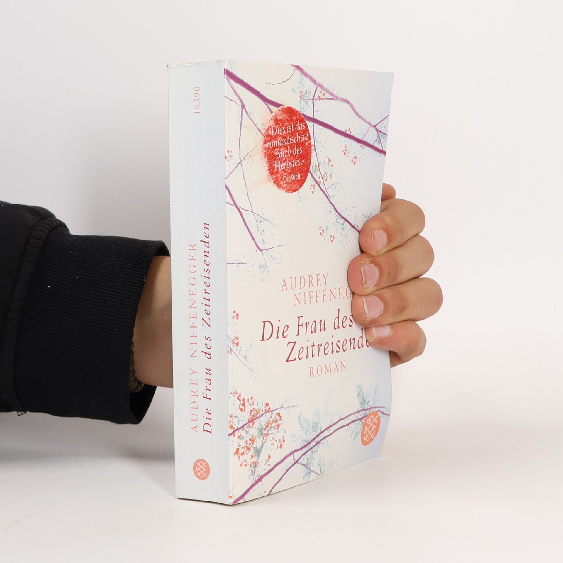 Audrey Niffenegger Die Frau des Zeitreisenden