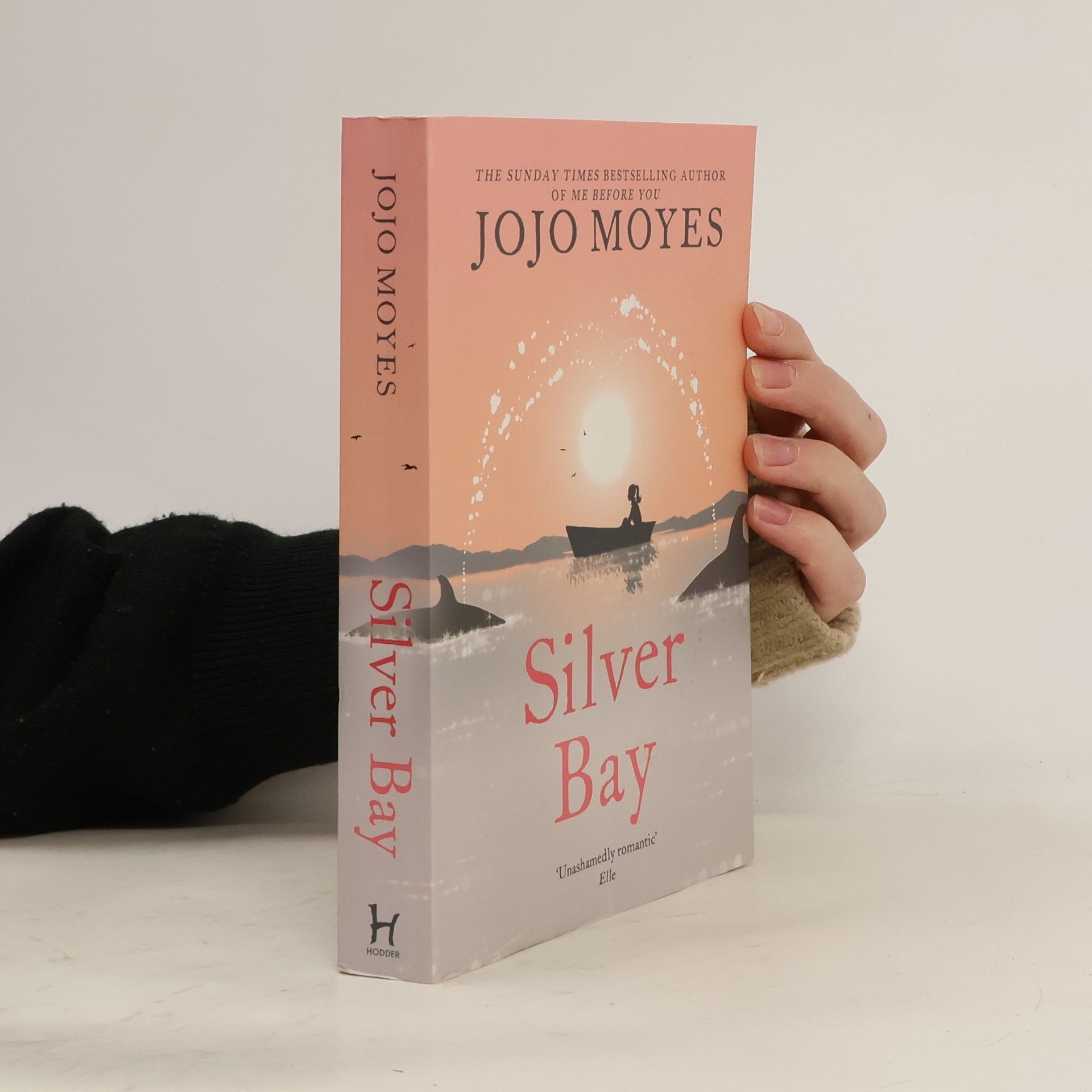 Jojo Moyes Silver Bay