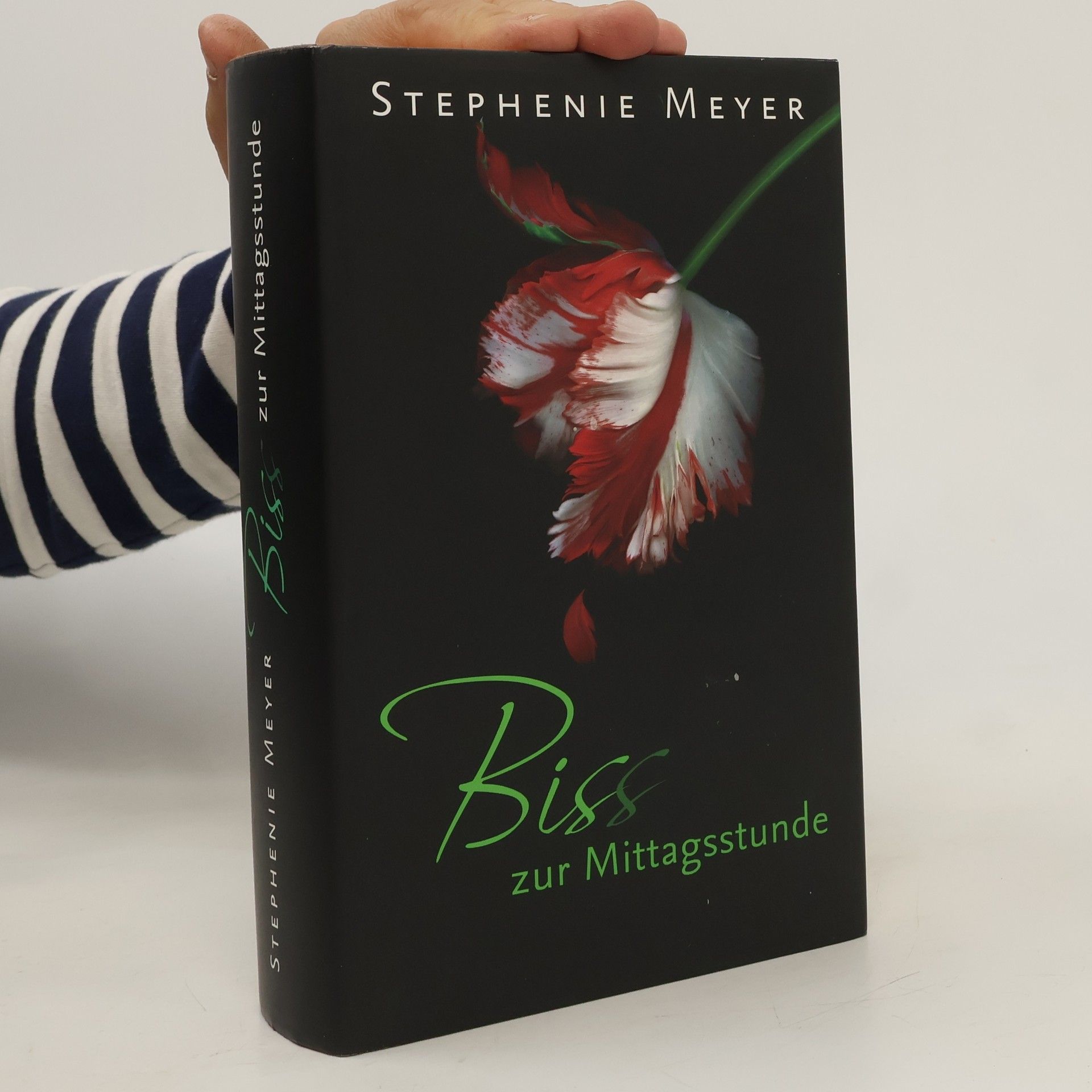 Stephanie Meyers Biss zur Mittagsstunde