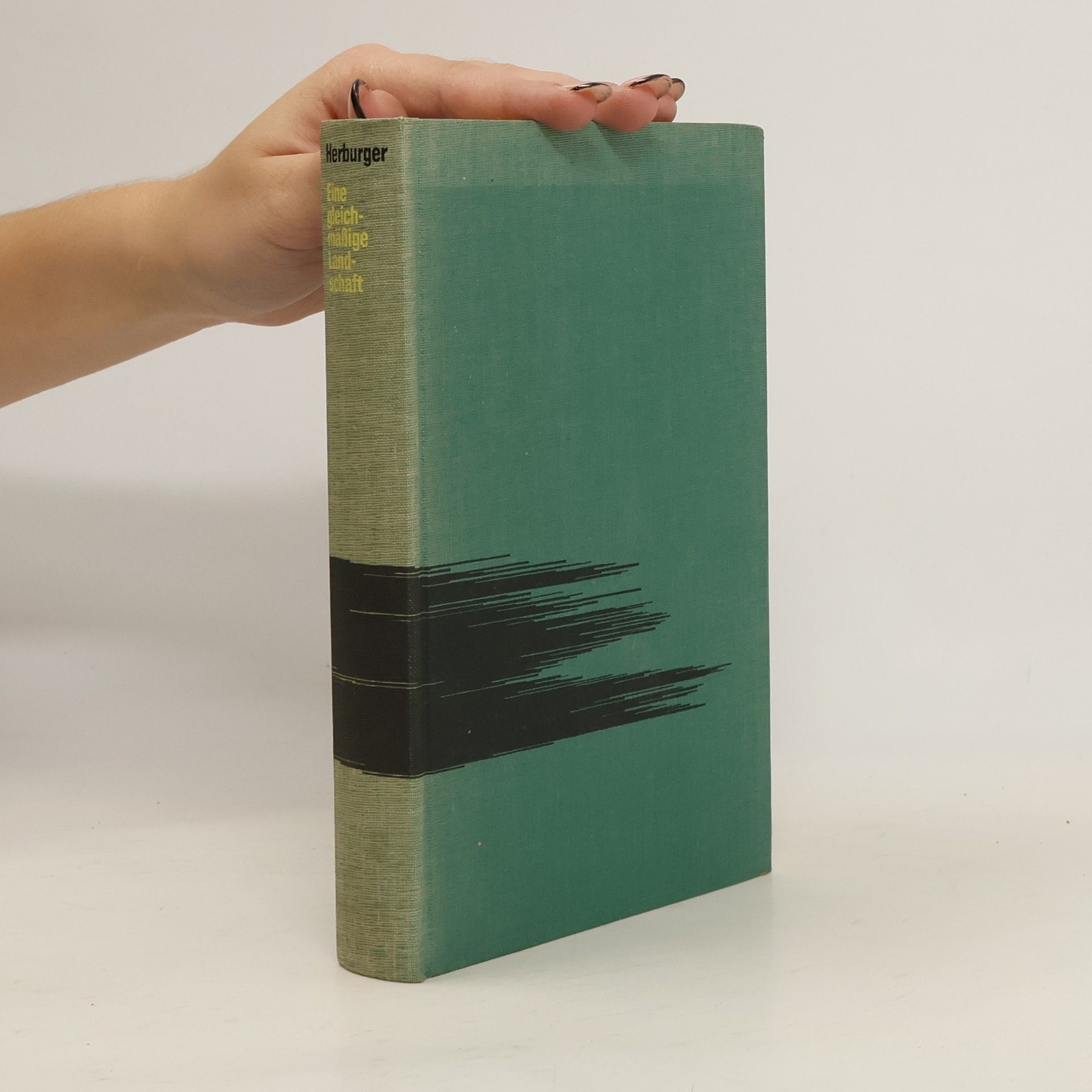 Günter Herburger Eine gleichmäßige Landschaft