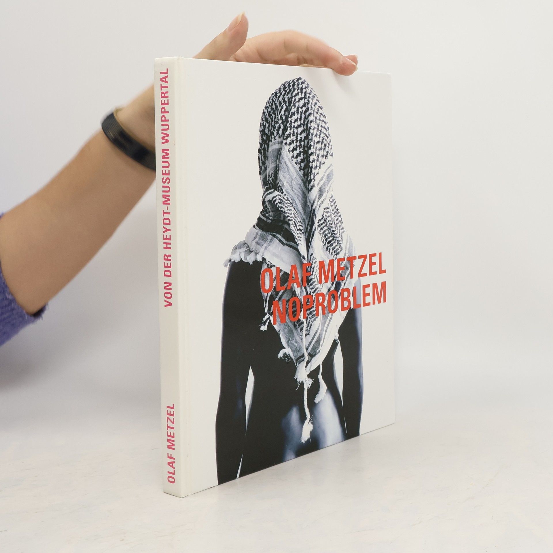 Harald Falckenberg Olaf Metzel - noproblem
