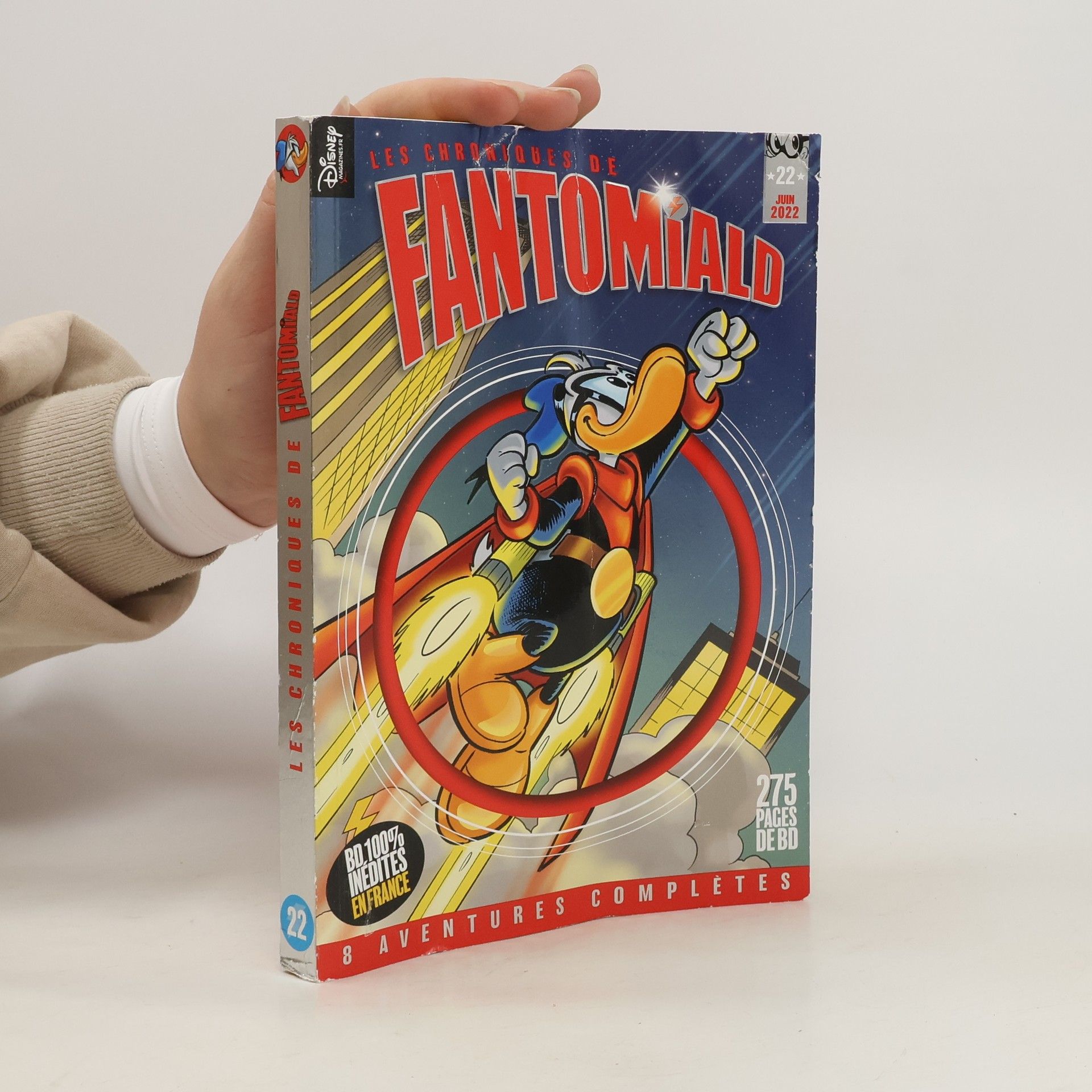 Collectif d'auteurs Les Chroniques de Fantomiald 22