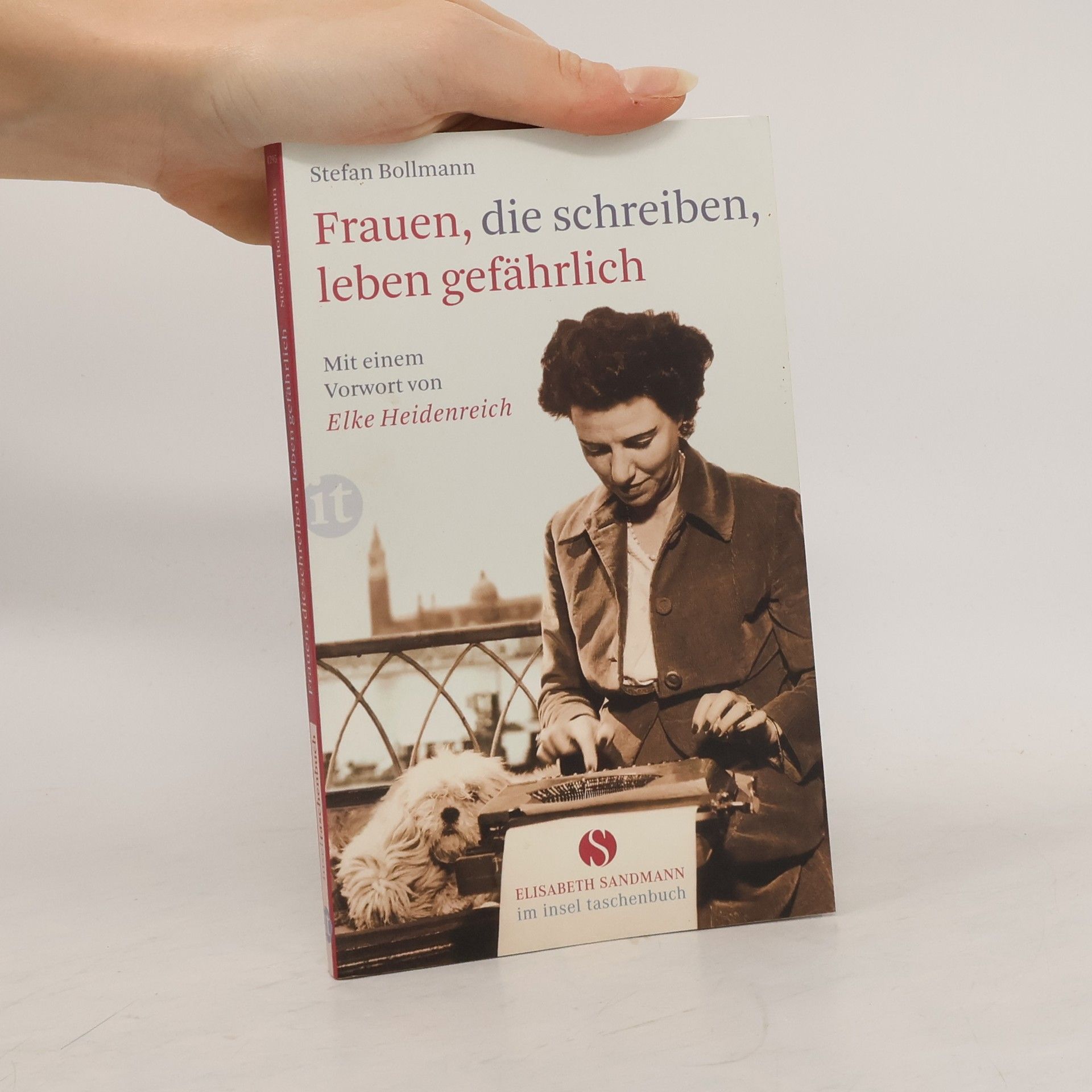 Stefan Bollmann Frauen, die schreiben, leben gefährlich