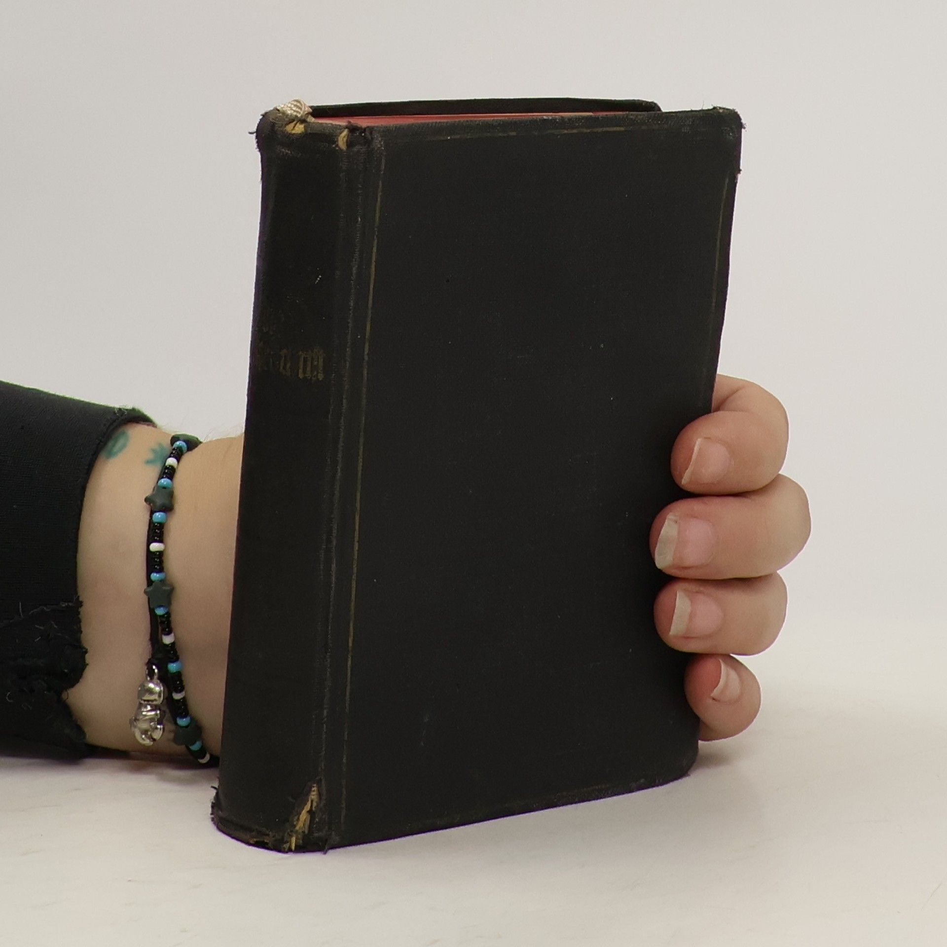 AA.VV. Das Alte Testament