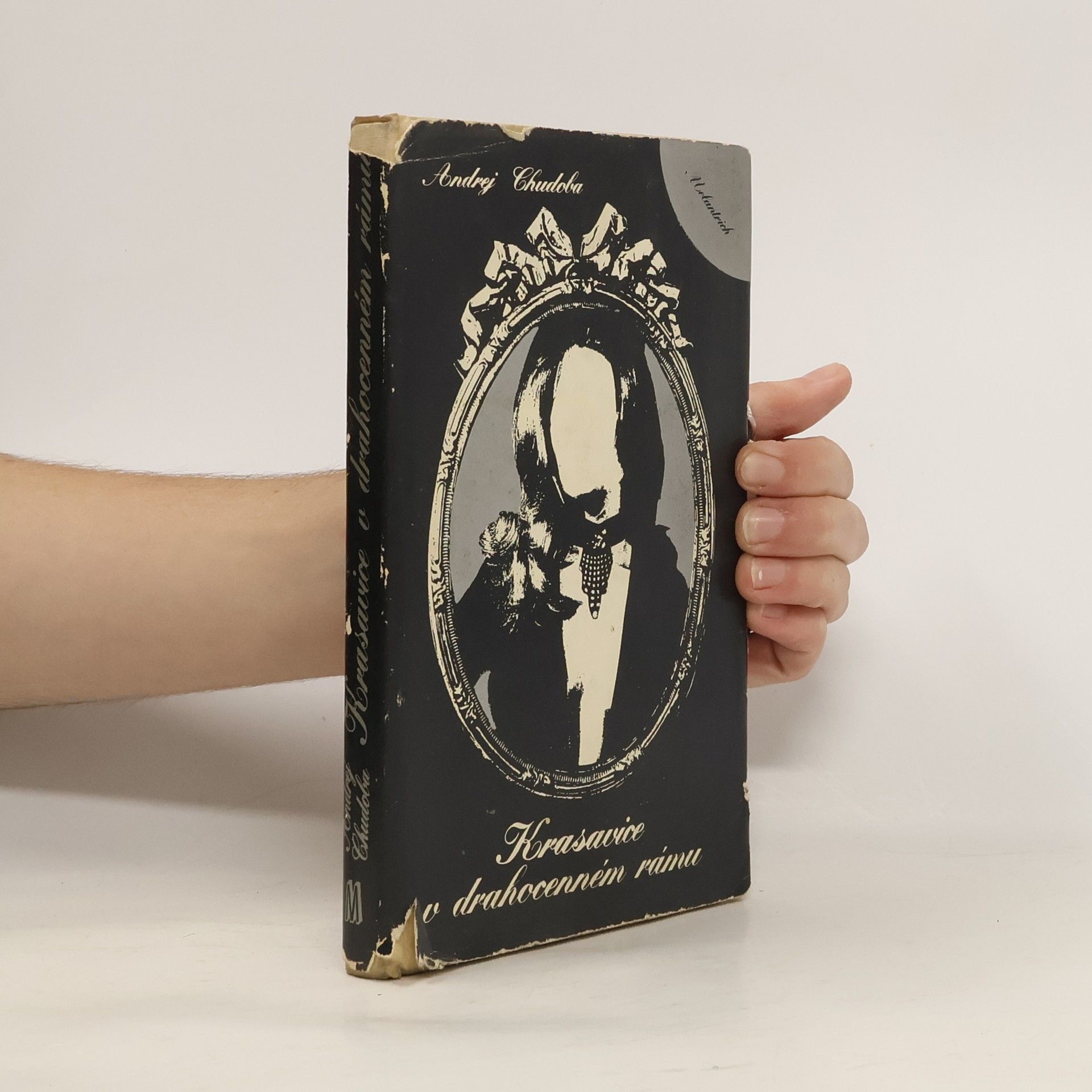 Andrej Chudoba Krasavice v drahocenném rámu