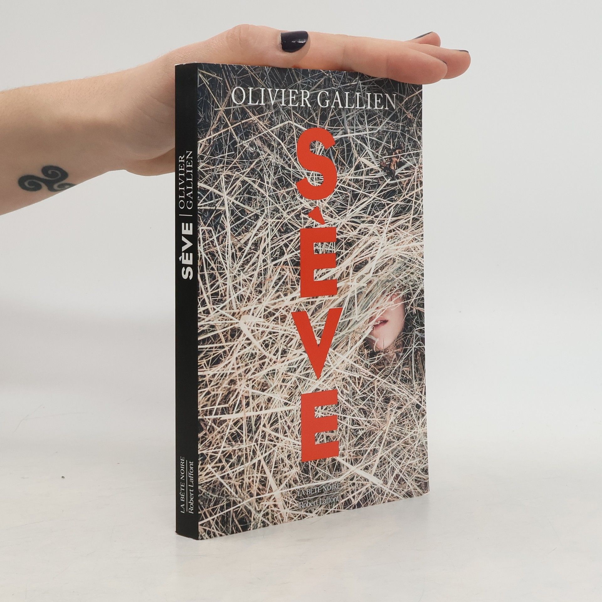 Olivier Gallien Sève