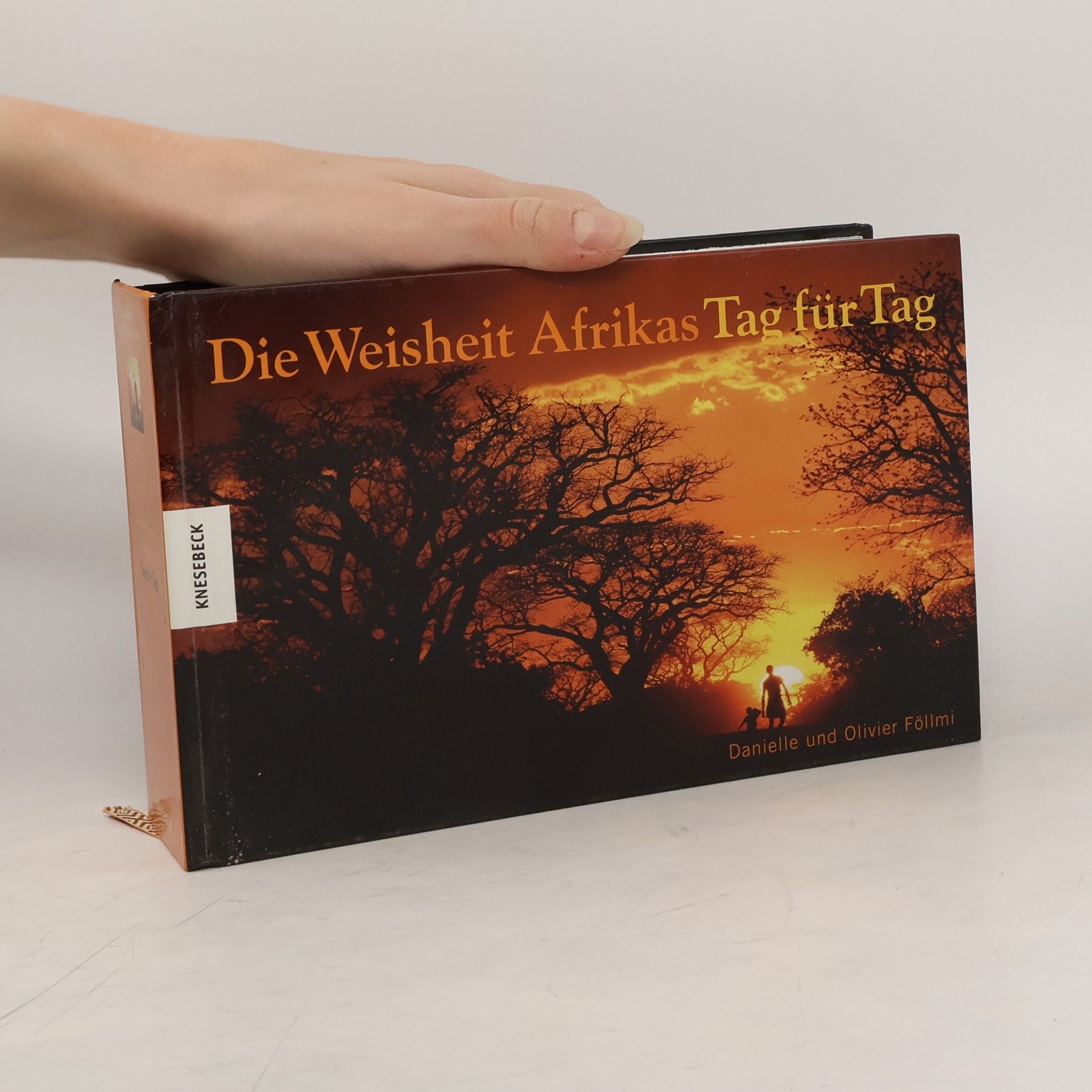 Die Weisheit Afrikas Tag für Tag