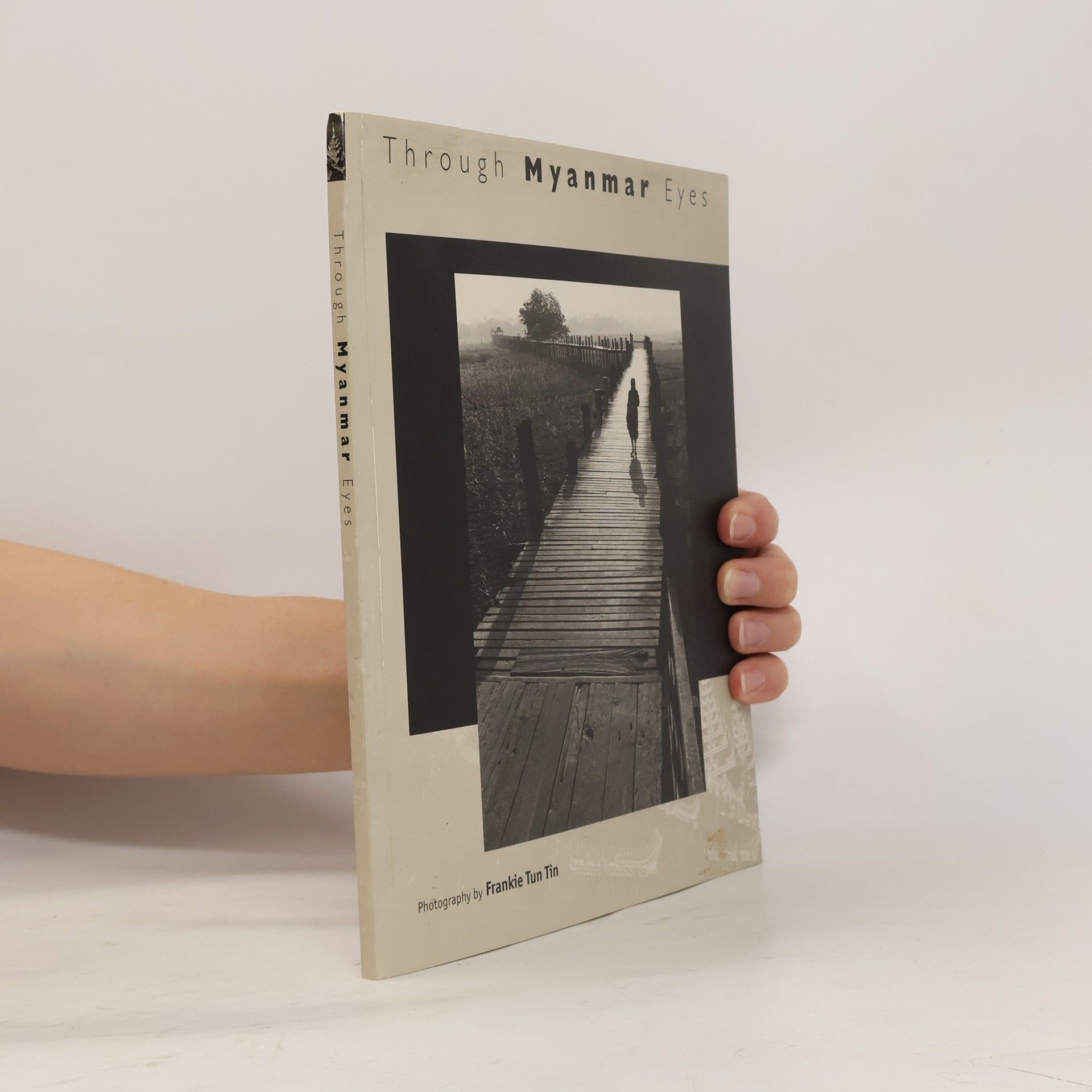 Collectif d'auteurs Through Myanmar Eyes