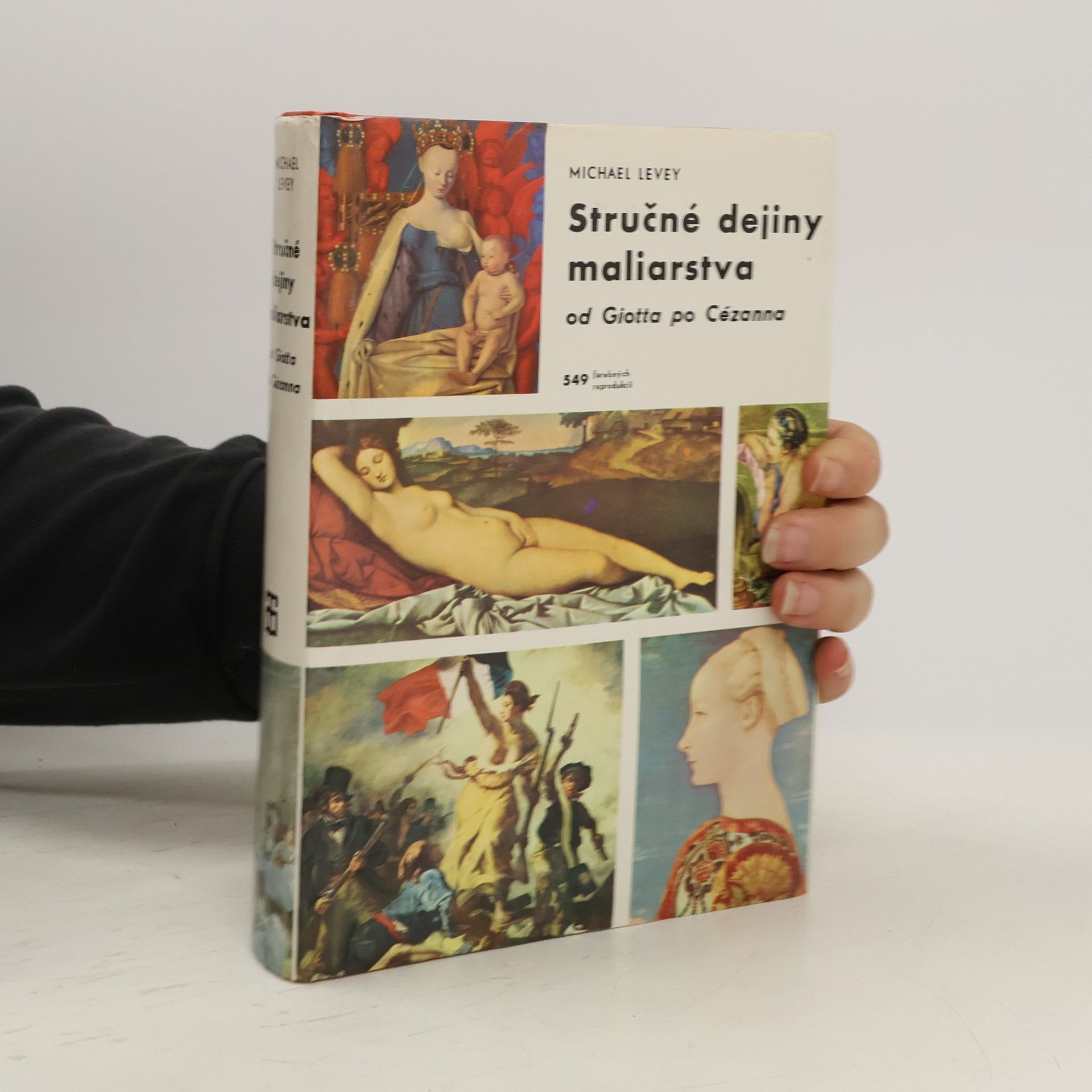 Michael Levey Stručné dejiny maliarstva od Giotta po Cézanna