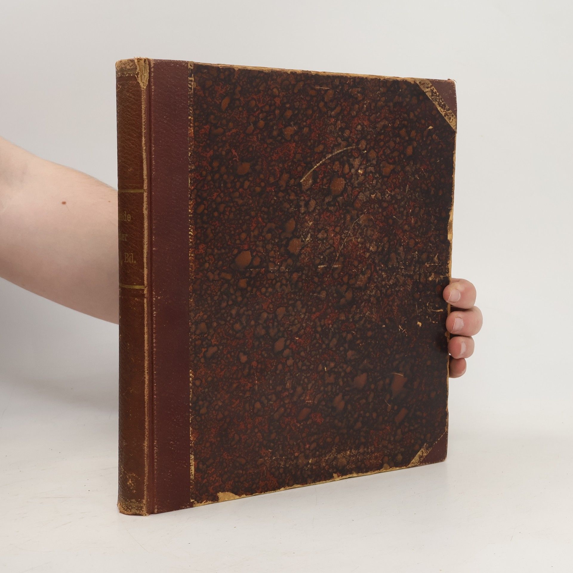 Autorenkollektiv Fliegende Blätter CI