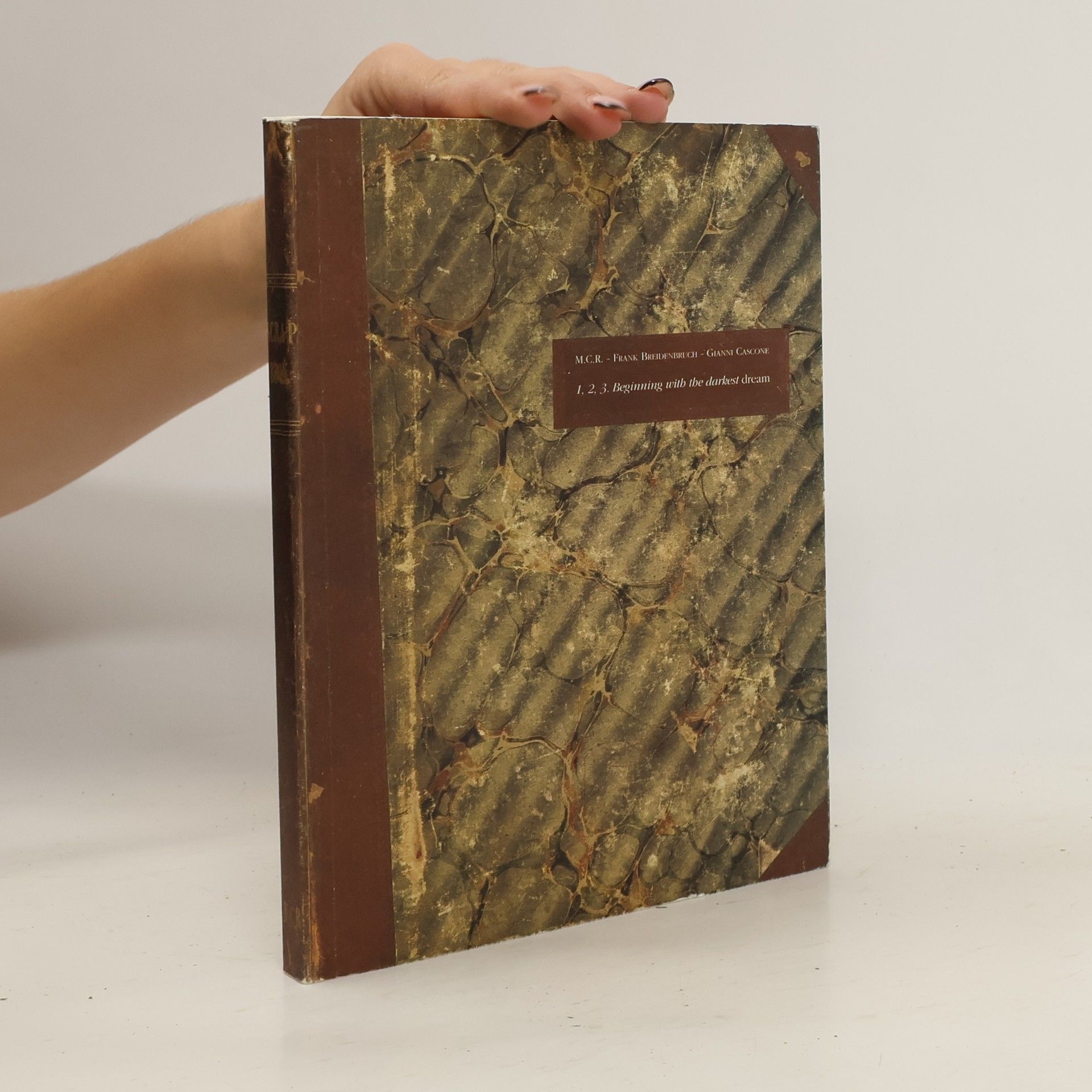 Frank Breidenbruch Beginning with the darkest Dream