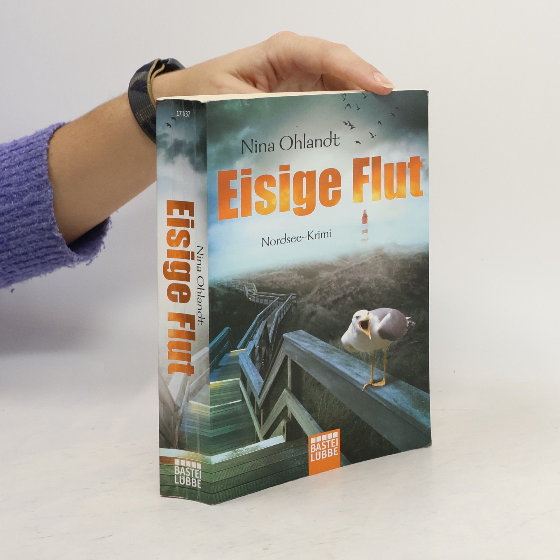 Nina Ohlandt Eisige Flut