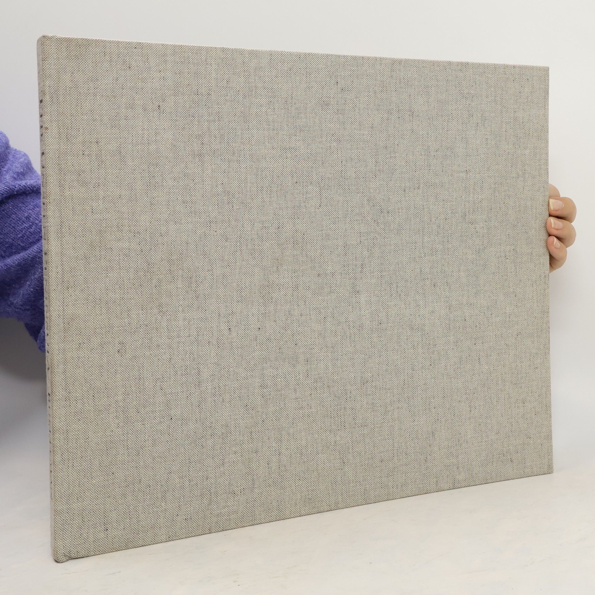 Robert Buelteman The Unseen Peninsula