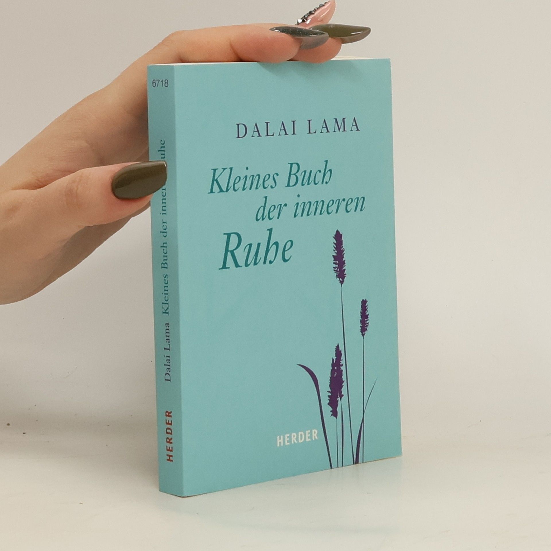Kleines Buch der inneren Ruhe