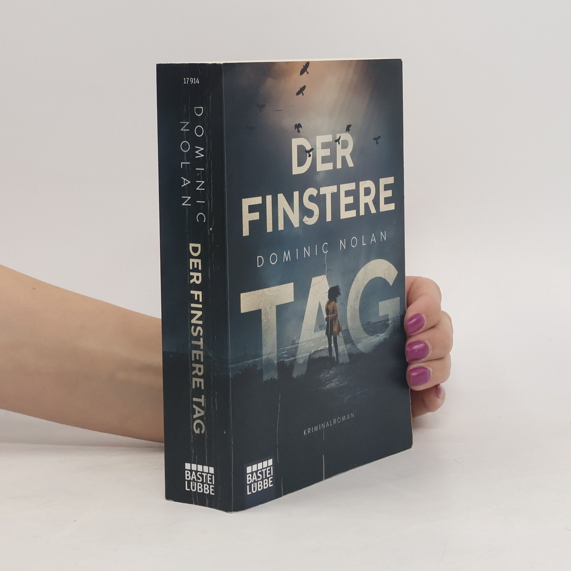 Dominic Nolan Der finstere Tag