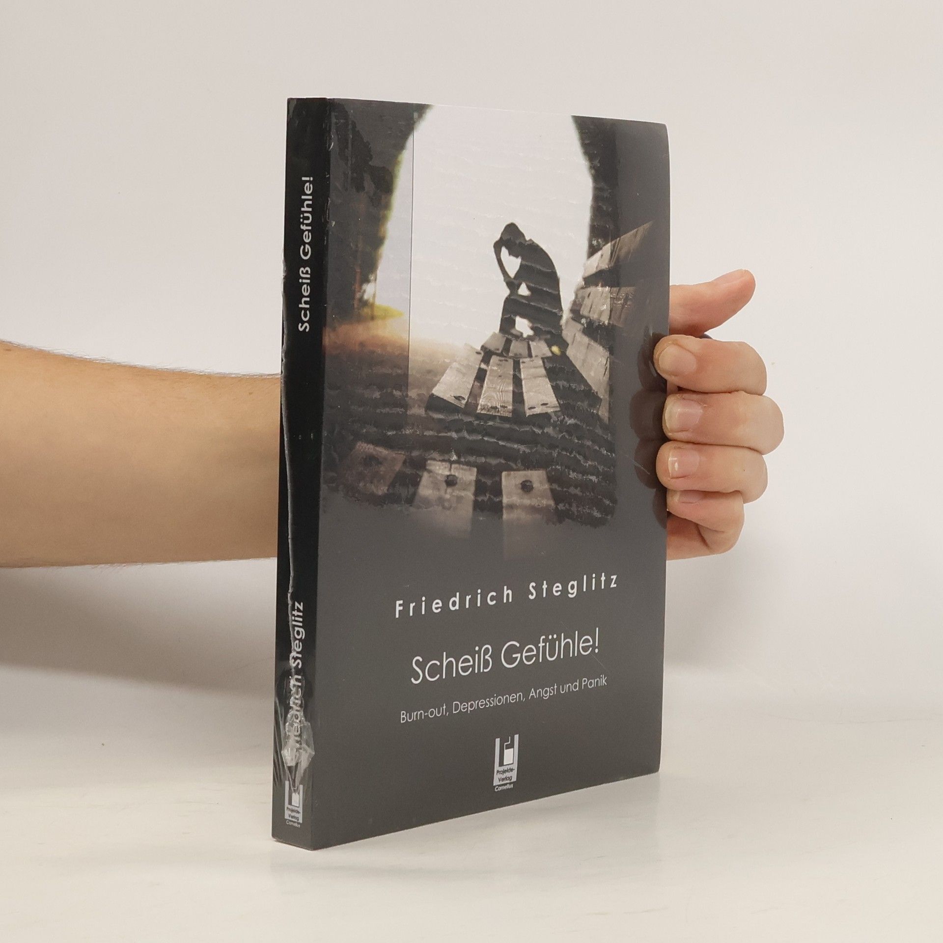 Friedrich Steglitz Scheiß Gefühle!