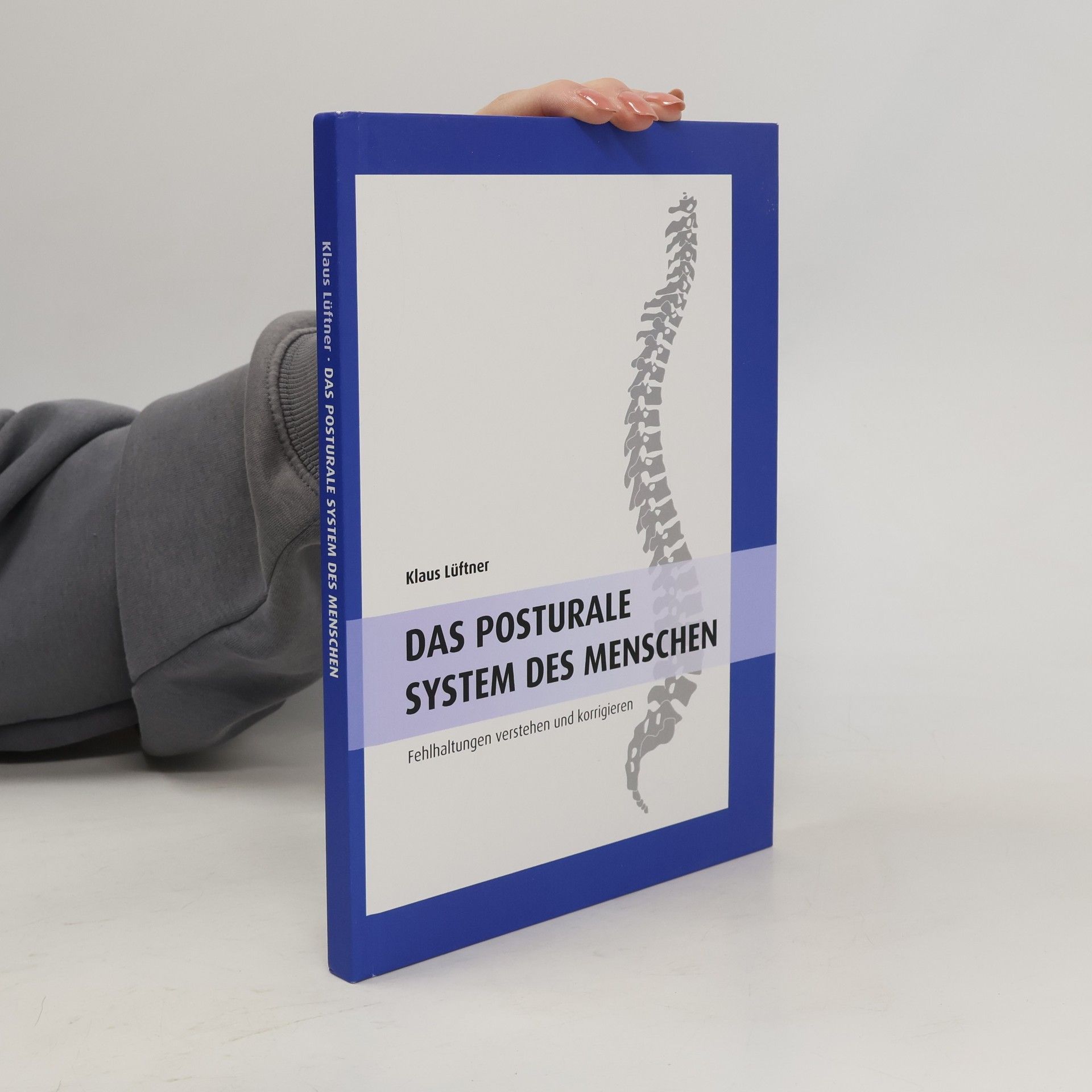 Das posturale System des Menschen