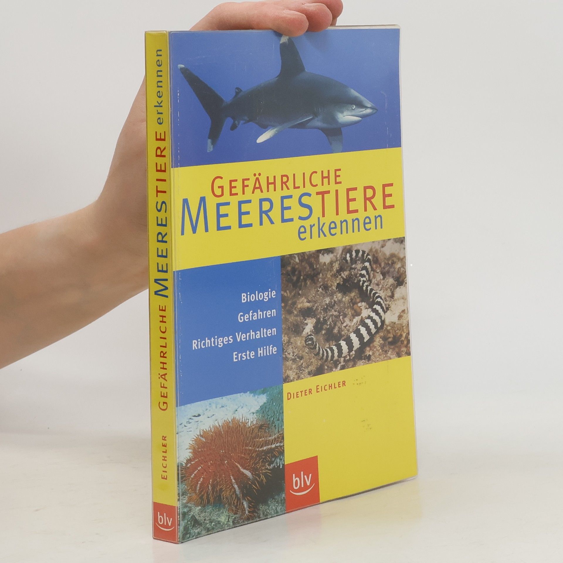 Gefährliche Meerestiere erkennen