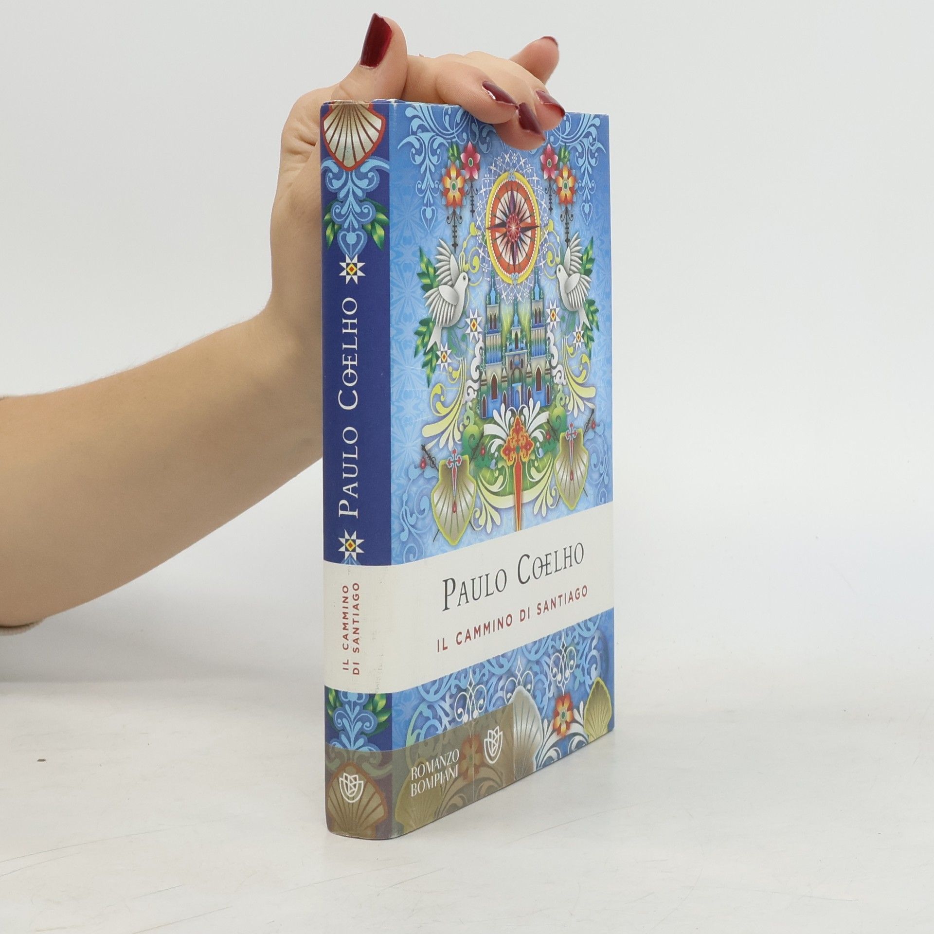 Rita Desti Il cammino di Santiago. Ediz. speciale