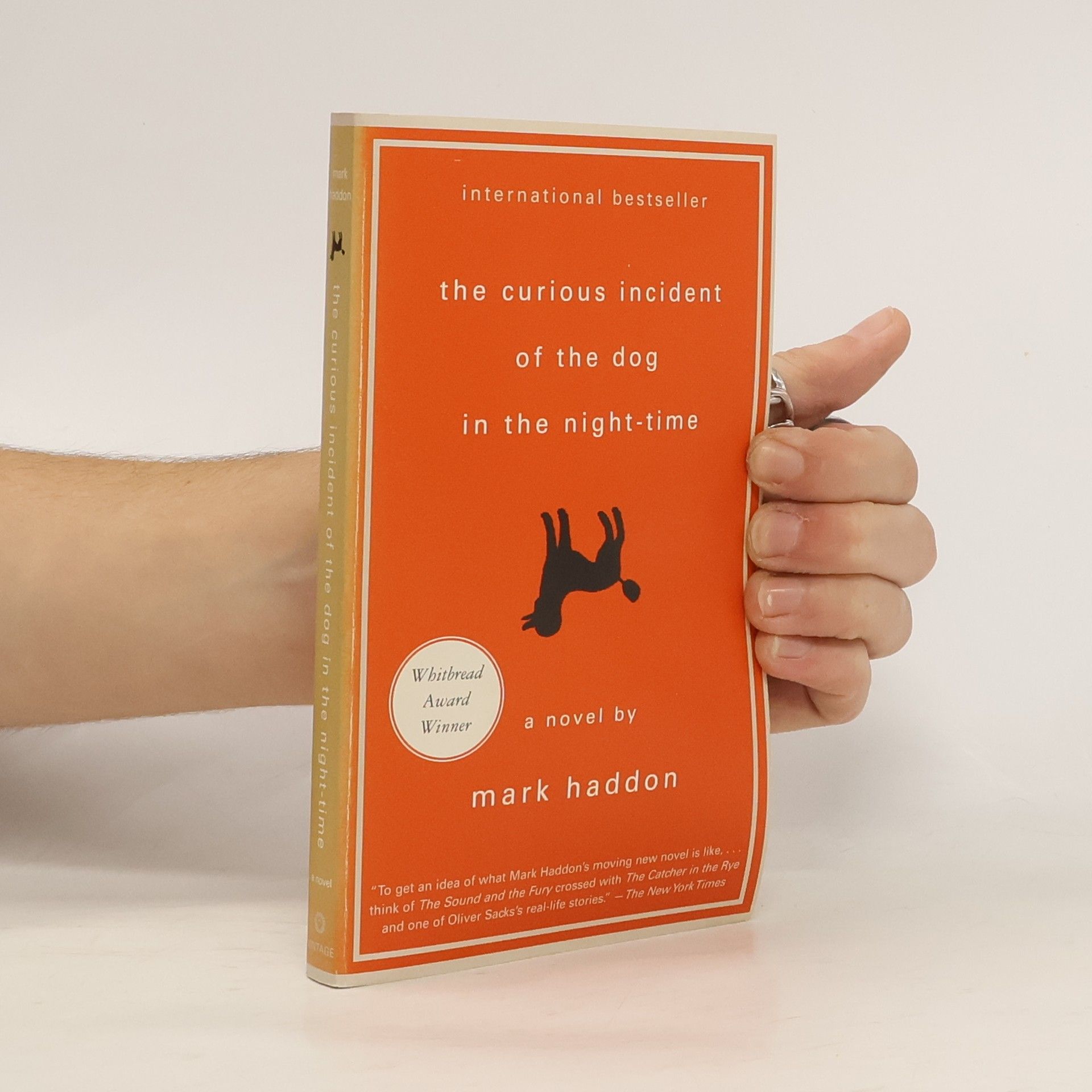 Mark Haddon The curious incident of the dog in the night-time